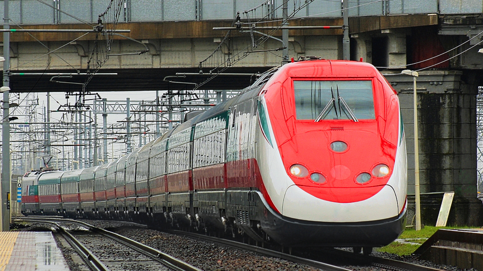Zdjęcie przedstawia nowoczesny włoski pociąg na torach przejeżdżający pod wiaduktem.