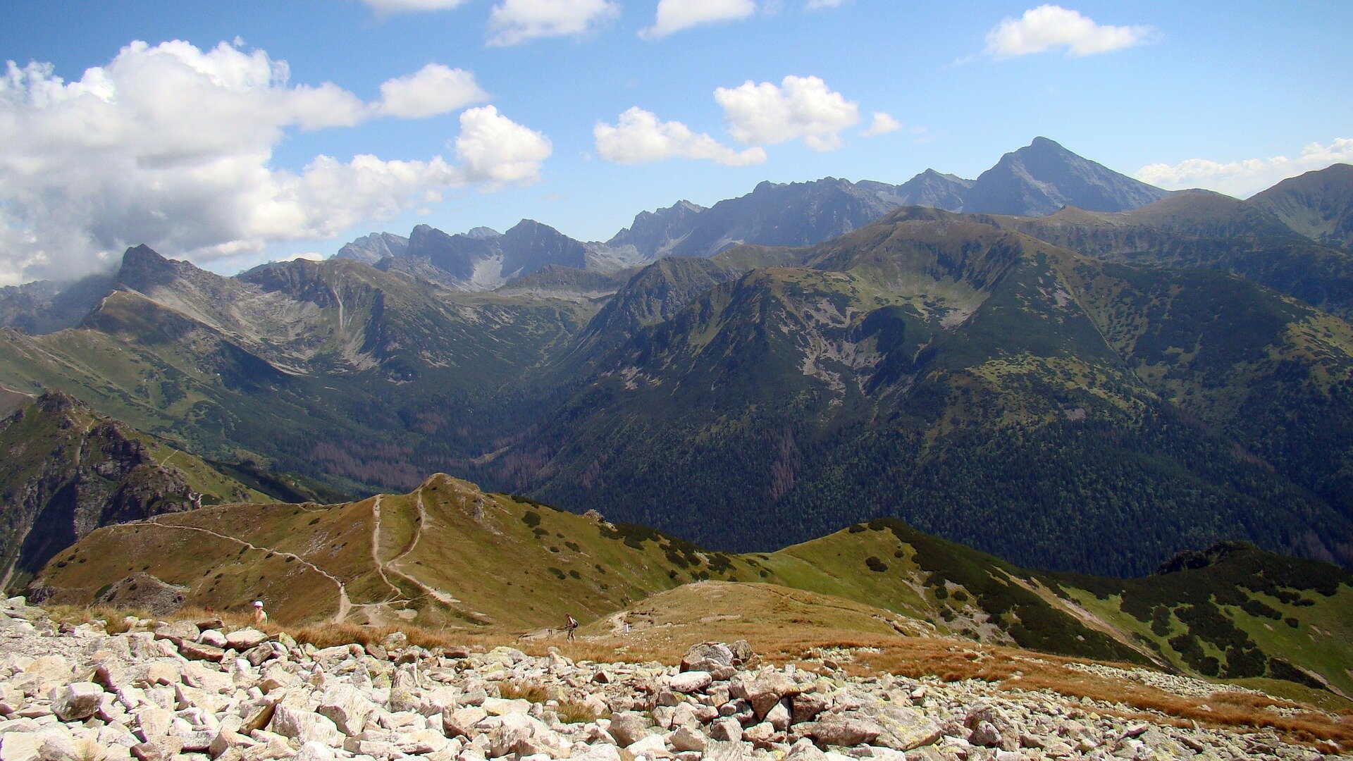Krajobraz wysokogórski. Liczne strome szczyty pokryte w niższych partiach drzewami a w wyższych porostami. Duże wysokości względne, strome wzniesienia, gdzieniegdzie linie szlaków turystycznych. 