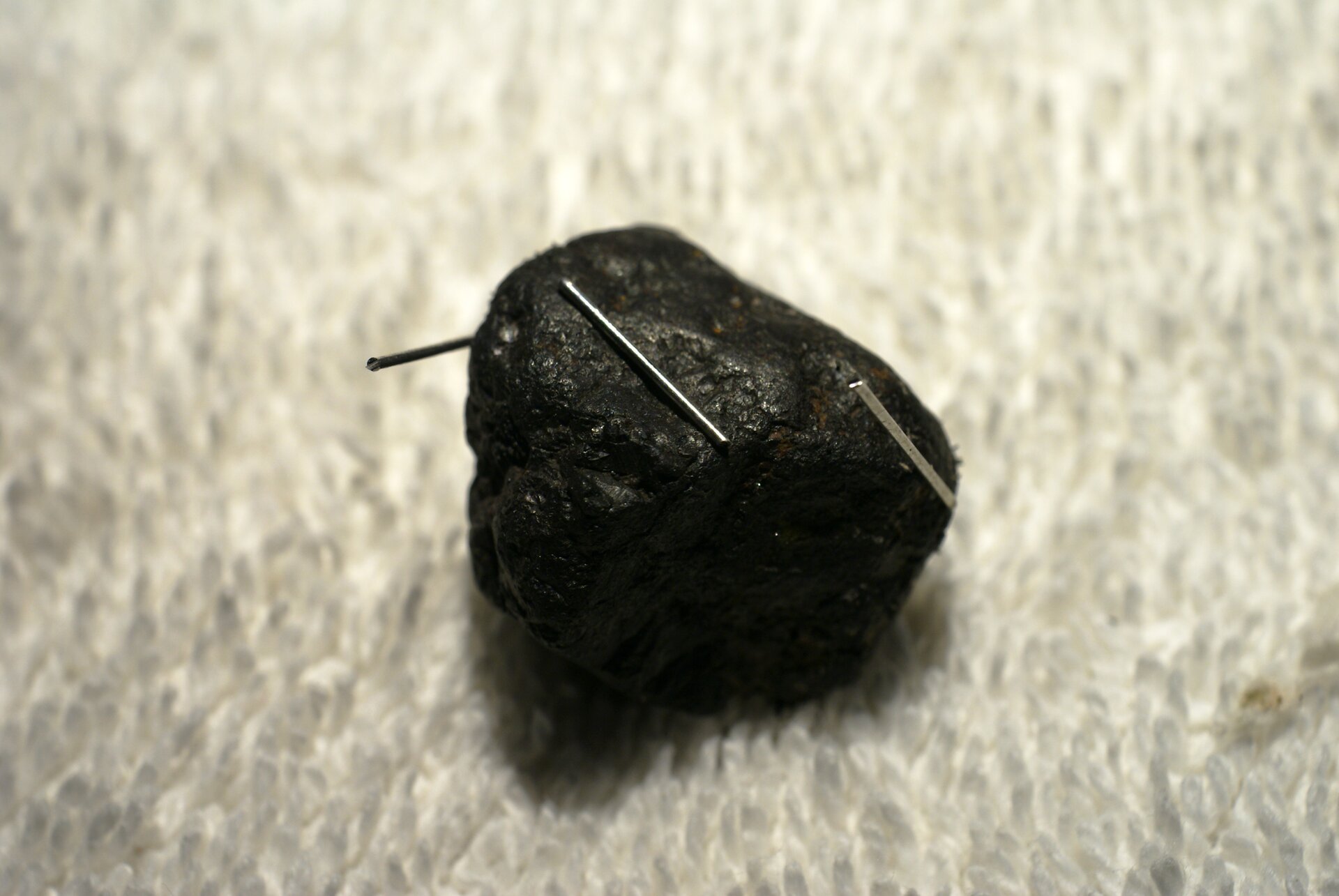 Fotografia prezentuje czarną bryłkę minerału - magnetytu, na której same się trzymają metalowe opiłki.