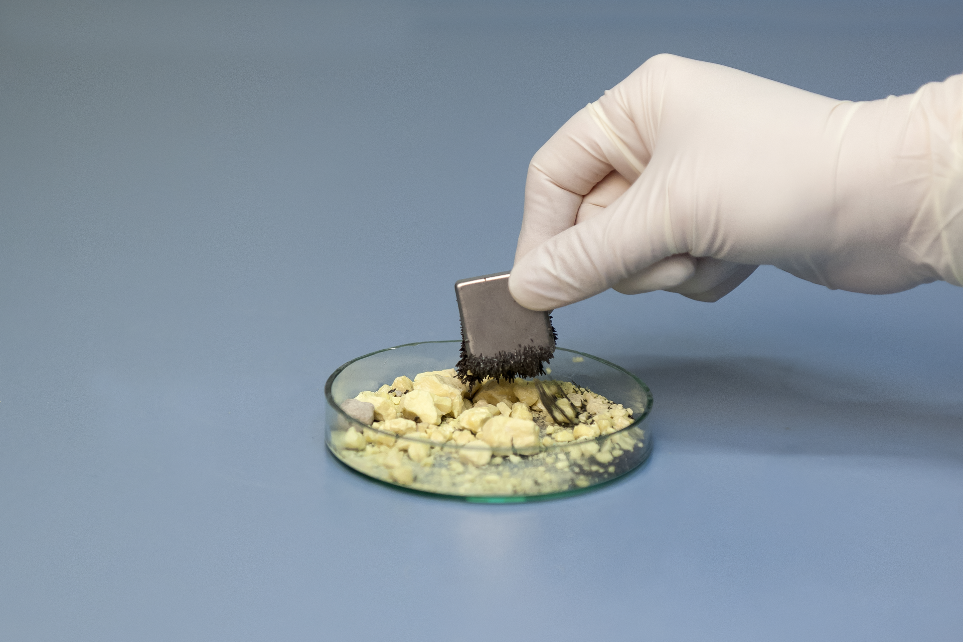 Na zdjęciu ukazano połowę szalki Petriego, w której znajduje się mieszanina żółtej siarki oraz szarych wiórków żelaza. Dłoń ubrana w rękawiczkę laboratoryjną trzyma magnes, do którego przyciągane są wiórki żelaza.