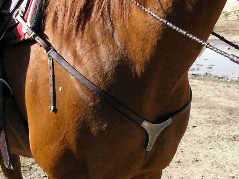 Zdjęcie przedstawia napierśnik zamontowany w przedniej części tułowia konia.
Szczegółowy opis uzupełniający zdjęcie znajduje się w treści definicji.