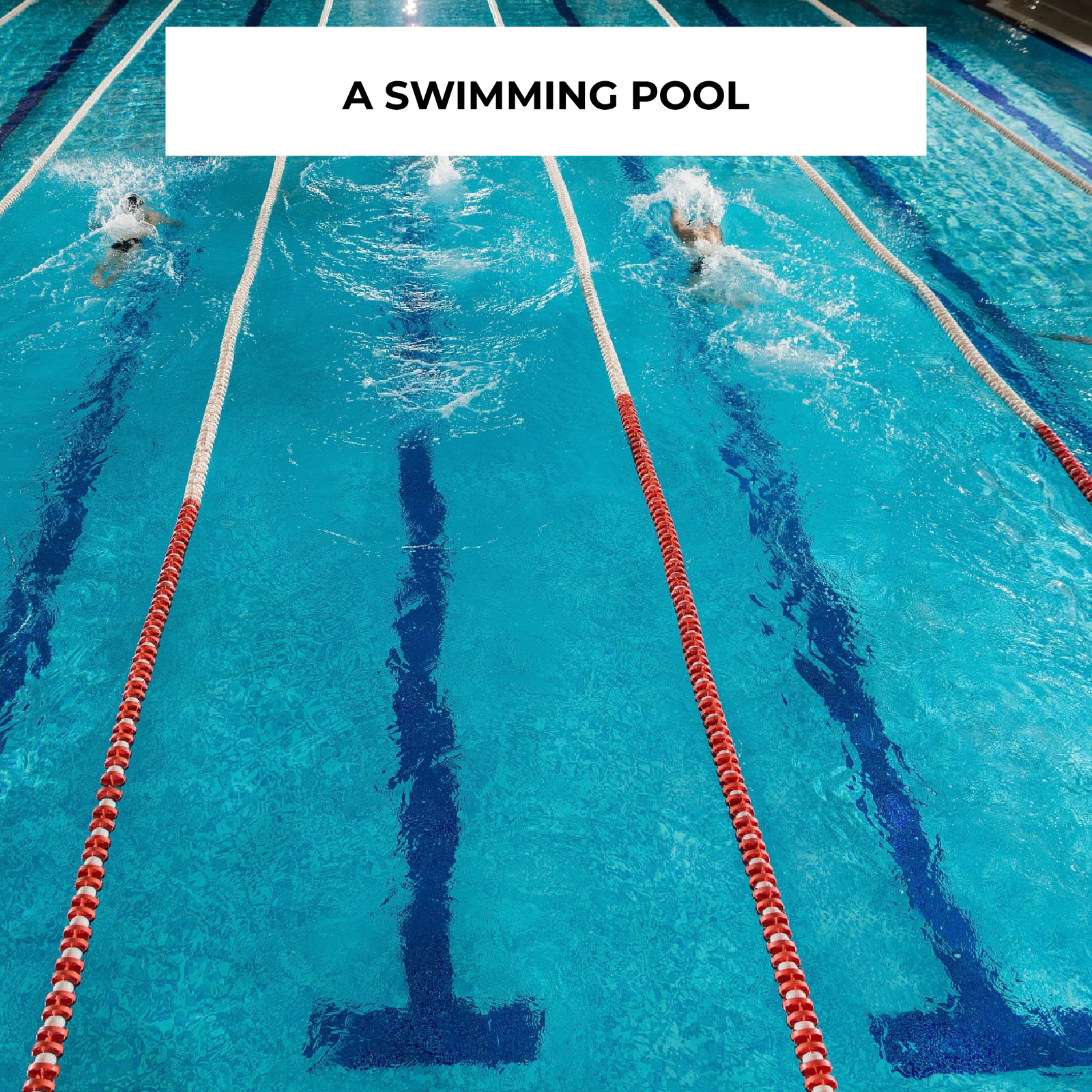 Zdjęcie przedstawia basen, w którym pływają dwie osoby. Widoczny jest napis A SWIMMING POOL. 