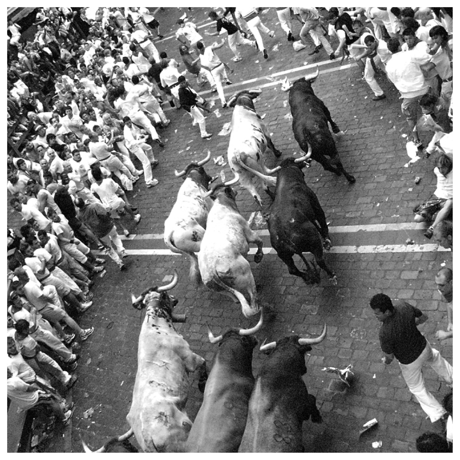Na czarno‑białym zdjęciu widoczna jest gonitwa byków w Hiszpanii.