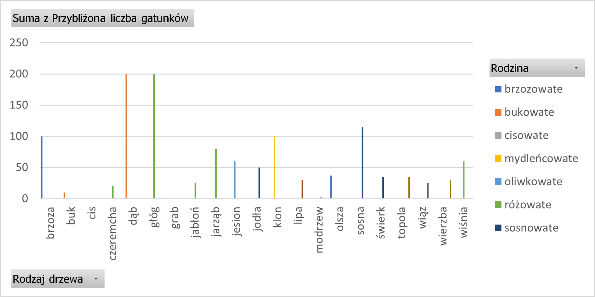 Przedstawiono dane dotyczące gatunków drzew i rodzin do których należą za pomocą wykresu. Na osi poziomej przedstawiono gatunki. Na osi pionowej przedstawiono suma z przybliżonej liczby gatunków od zera do dwustu pięćdziesięciu. Po prawej stronie znajduje się legenda. Kolorami oznaczono odpowiednie rodziny. Kolejno kolorem niebieskim brzozowate, pomarańczowym bukowe, szarym cisowate, żółtym mydleńcowate, błękitnym oliwkowate, zielonym różowate oraz fioletowym sosnowate. Podane ilości zaznaczono za pomocą odpowiednio wysokich słupków. Dane użyte na wykresie są na podstawie tabeli rodzaje drzew występujących w Polsce. 