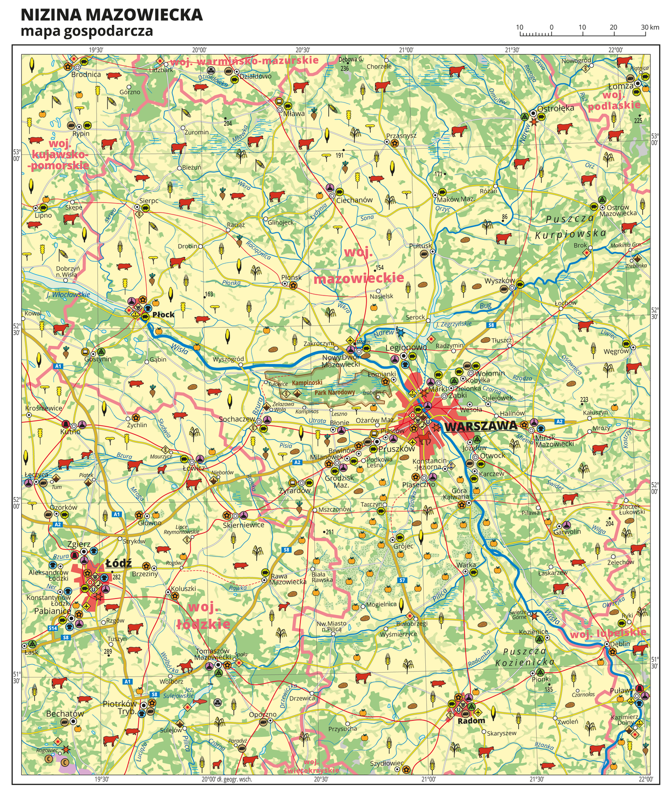 Ilustracja przedstawia mapę gospodarczą Niziny Mazowieckiej. Tło mapy w kolorze żółtym (grunty orne), jasnozielonym (łąki i pastwiska) i zielonym (lasy). W centralnej części mapy Warszawa, z lewej strony Łódź, na dole mapy Radom. Na mapie sygnatury obrazujące uprawy poszczególnych roślin, hodowlę zwierząt, przemysł, górnictwo i energetykę, komunikację, turystykę, naukę, kulturę i sztukę. Największe zagęszczenie sygnatur w Warszawie i Łodzi. Duże zagęszczenie sygnatur w Radomiu, Płocku, Łomży i Tomaszowie Mazowieckim. Na obszarze całej mapy równomiernie rozłożone sygnatury związane z hodowlą zwierząt i uprawą roślin. Na mapie przedstawiono sieć dróg i kolei, porty wodne i lotnicze, granice województw. Opisano województwa mazowieckie, łódzkie, lubelskie, podlaskie, kujawsko-pomorskie i warmińsko-mazurskie. Mapa zawiera południki i równoleżniki, dookoła mapy w białej ramce opisano współrzędne geograficzne co trzydzieści minut.