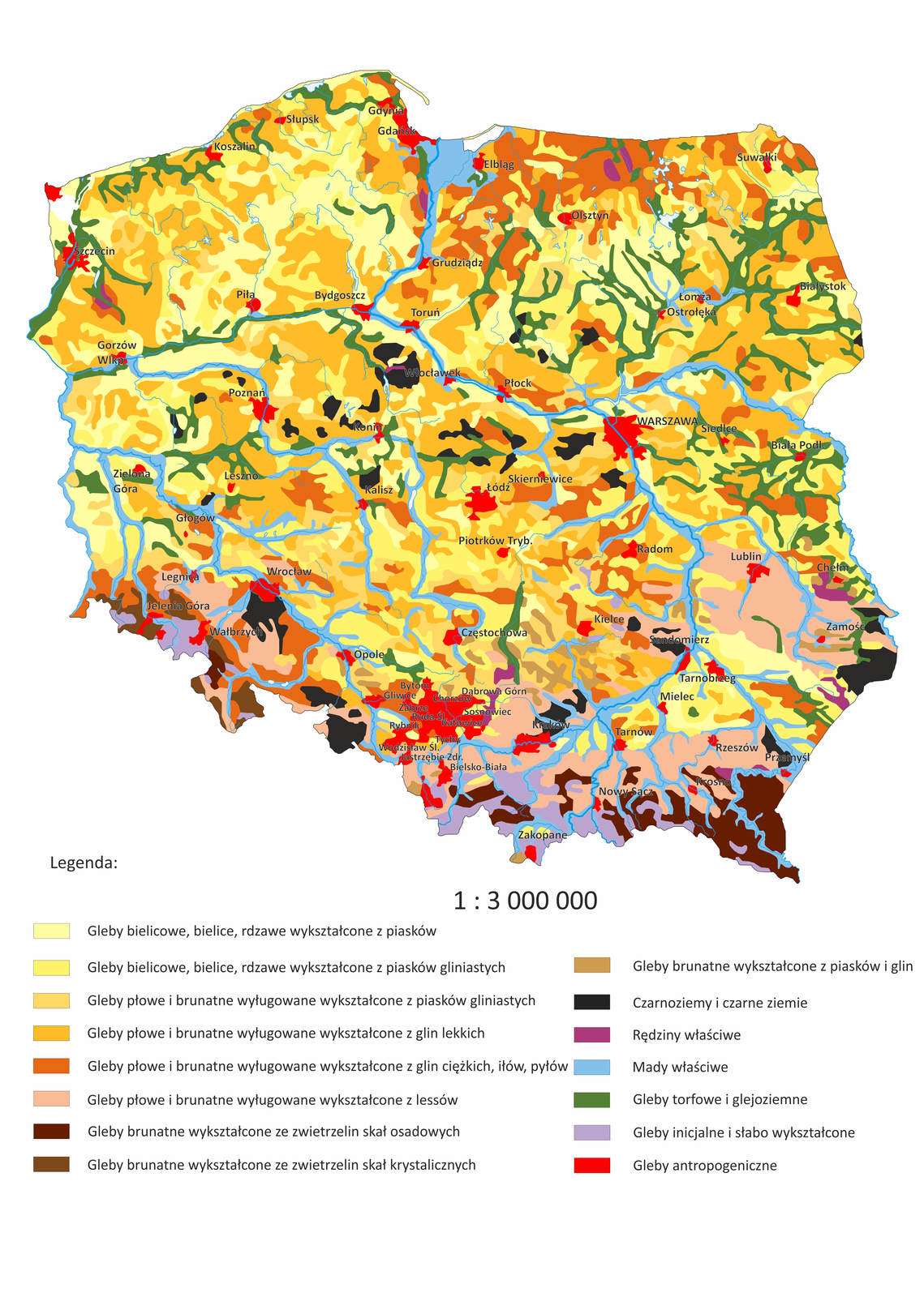 Na mapie Polski zaznaczono kolorami typy gleb. Najczęściej występującymi glebami są gleby brunatne i płowe. Zajmują one ponad połowę powierzchni kraju. Drugim najczęściej występującym typem gleb w Polsce są gleby bielicowe. Gleb o najwyższej urodzajności jest w naszym kraju niewiele. Uchodzące za najlepsze, czarnoziemy, zajmują tylko około 1% powierzchni. Można je spotkać na Wyżynie Lubelskiej w okolicach Chełma, Wyżynie Małopolskiej – Płaskowyż Proszowicki (koło Krakowa) i na Płaskowyżu Głubczyckim (opolskie). Gleby powstające na obszarach pobagiennych – również mają około 1% udziału w powierzchni kraju. Występują głównie na Kujawach, a poza tym na Nizinach: Wielkopolskiej, Szczecińskiej i Śląskiej (na południe od Wrocławia). W okolicach Ciechanowa i Łowicza na Mazowszu. Większy odsetek, około 5%, przypada madom. Utworzyły się one w delcie Wisły. Gleby bagienne zajmują około 7% powierzchni kraju i poza dolinami rzek występują głównie na Podlasiu, Polesiu i pojezierzach. Rędziny wykształciły się na skałach węglanowych Wyżyny Małopolskiej i Wyżyny Lubelskiej. Stanowią łącznie około 1% powierzchni kraju. Dla typowo górskich gleb inicjalnych odsetek ten wynosi około 6%. Występują na stokach Karpat i Sudetów. Ostatnią grupę stanowią gleby antropogeniczne. Występują na obszarach miejskich, podmiejskich i uprzemysłowionych. Większe ich kompleksy spotkać można w Górnośląskim Okręgu Przemysłowym i na terenie innych dużych miast (w Warszawie, Trójmieście, Łodzi, Krakowie, Wrocławiu, Poznaniu, Szczecinie), a także w rejonie odkrywkowych kopalni węgla brunatnego i elektrowni - w Bełchatowie, Koninie i Turoszowie.