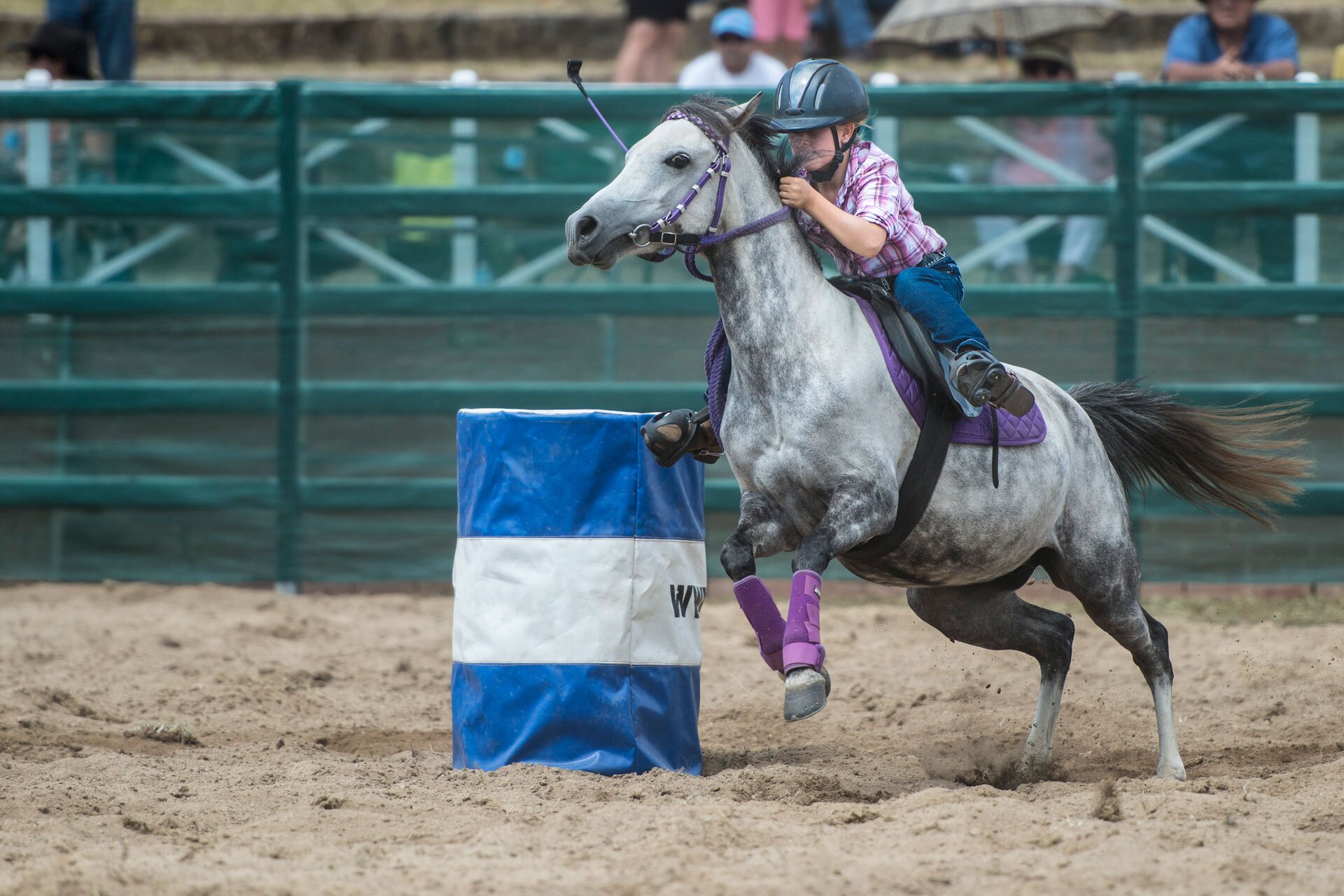Fotografia przedstawia dziewczynkę siedząca na koniu podczas zawodów. Koń galopuje po piasku. Przednie kończyny konia uniesione w górę. Koń ma fioletową uzdę, pod siodłem fioletowa derka, na przednich kończynach fioletowe ochraniacze. Dziewczynka ma ubraną fioletową koszulę w kratkę, dżinsy, na głowie czarny toczek. Jest pochylona w stronę końskiego łba, kurczowo trzyma się wodzy.