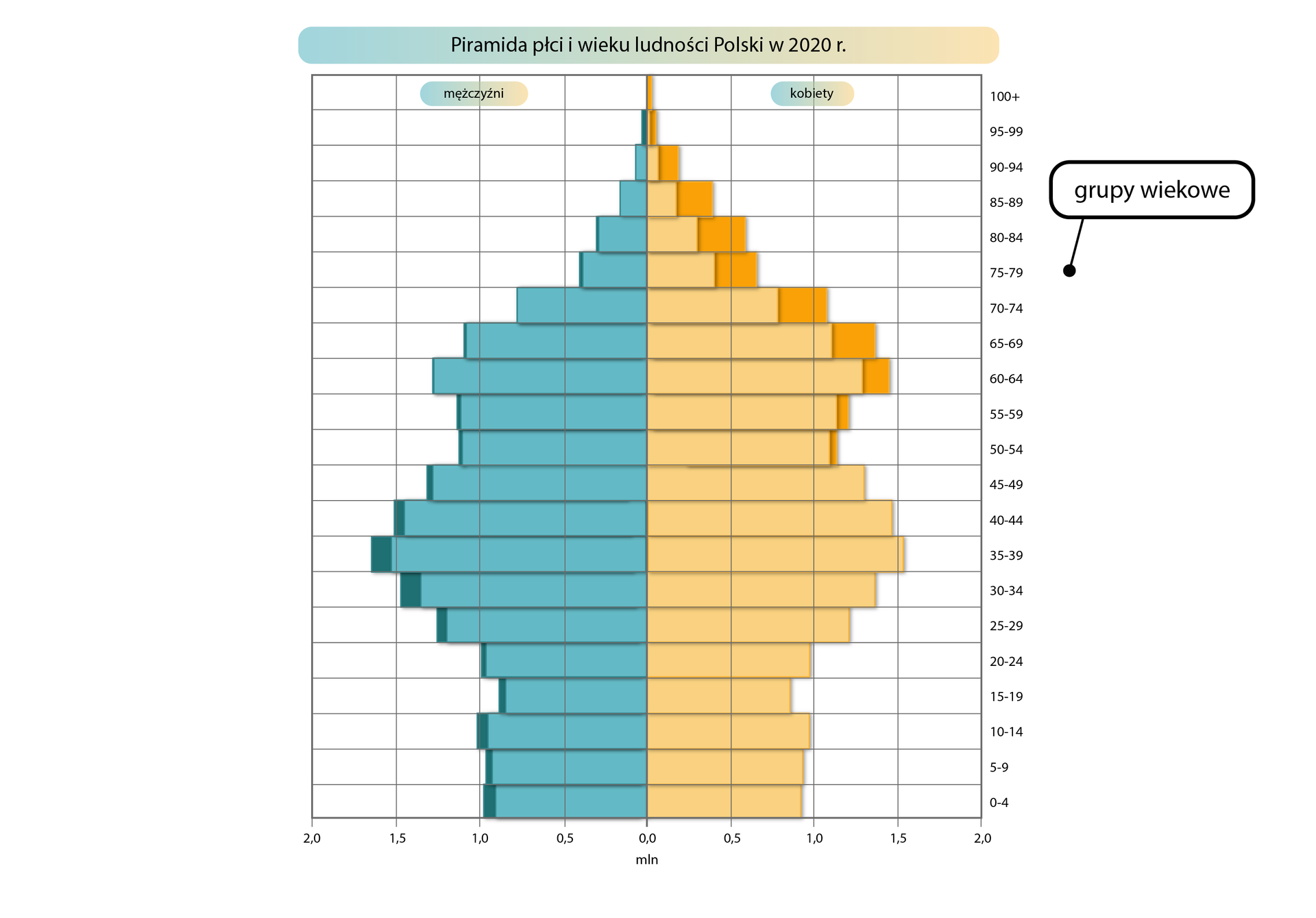 Piramida płci i wieku jest rozrysowana na siatce. Dolna pozioma oś oznacza liczbę ludności w procentach, od 0 w centralnym punkcie rośnie co 1% w lewą i prawą stronę do 7 procent. Oś pionowa oznaczona po prawej stronie określa grupy wiekowe: 0‑4, 5‑9, 10‑14, 15‑19, 20‑24, 25‑29, 30‑34, 35‑39, 40‑44, 45‑49, 50‑54, 55‑59, 60‑64, 65‑69, 70‑74, 75‑79, 80‑84, 85‑89, 90‑94, 95‑99, 100+. Piramida ma dwa kolory. Po lewej stronie wartości oznaczone są kolorem niebieskim dane mężczyzn, a po prawej – żółtym dane dla kobiet. Kolorem ciemnożółtym i ciemnoniebieskim oznaczone są różnice w danych dotyczących płci. Dolną część piramidy (oznaczającą najmłodsze grupy wiekowe) określa się jako podstawę, a górną (oznaczającą grupy najstarsze) - wierzchołek. W Polsce w 2020 roku najwięcej było osób w wieku produkcyjnym od 20 do 64 roku życia z niewielką przewagą mężczyzn. W wieku poprodukcyjnym widoczna jest znacząca przewaga kobiet (różnica nawet 1%). W przedziale wiekowym 35‑39 na ciemnoniebieskim polu znajduje się czarna kropka połączona kreską z napisem w czarnej ramce „Nadwyżka mężczyzn nad kobietami”. W przedziale wiekowym 80‑84 na ciemnożółtym polu znajduje się czarna kropka połączona kreską z napisem w czarnej ramce „Nadwyżka kobiet nad mężczyznami”.