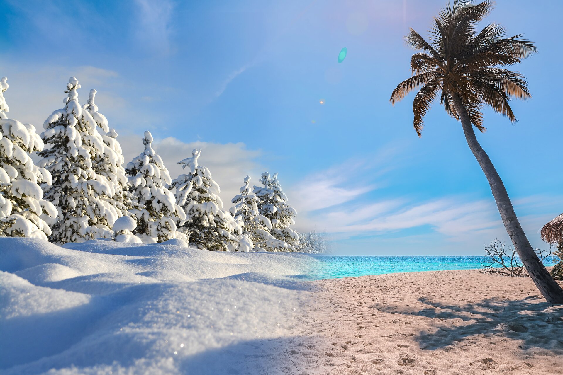 Zdjęcie przedstawia dwa skontrastowane pejzaże – zimowy i letni. Lewa strona ukazuje ośnieżony krajobraz z drzewami pokrytymi grubą warstwą śniegu. Prawa strona przedstawia piaszczystą plażę z palmami przy błękitnym morzu.