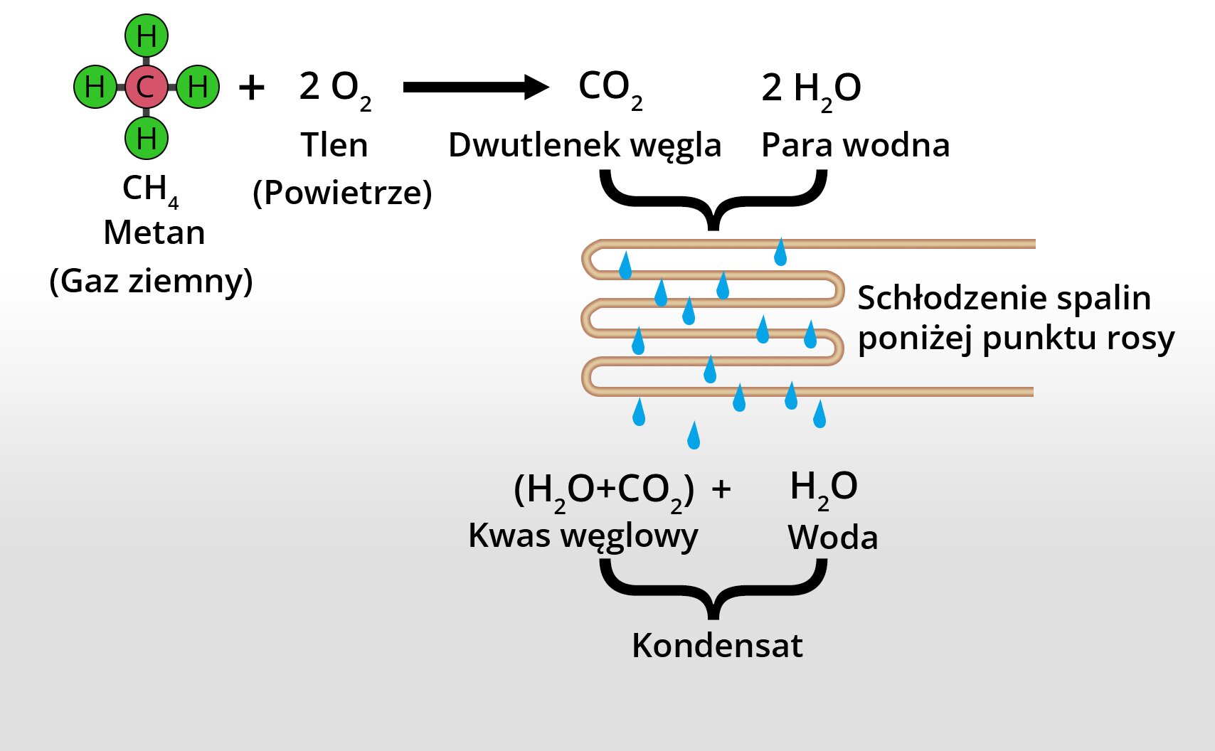 Grafika ilustruje procesy zachodzące w kondensacyjnym kotle gazowym. Metan, czyli gaz ziemny, przy udziale tlenu w procesie spalania zmienia się w dwutlenek węgla oraz parę wodną, które zostają schłodzone poniżej punktu rosy, w wyniku czego powstaje kwas węglowy i woda, czyli kondensat.
