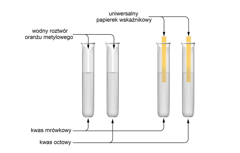 Na schemacie przedstawiono cztery probówki wypełnione bezbarwną cieczą. W probówce pierwszej i trzeciej znajduje się kwas mrówkowy, a w probówce drugiej i czwartej kwas octowy. Do wlotu probówek pierwszej i drugiej skierowane są strzałki opisane jako wodny roztwór oranżu metylowego, a do probówek trzeciej i czwartej strzałki opisane uniwersalny papierek wskaźnikowy. W ich wnętrzu znajdują się papierki wskaźnikowe barwy bladopomarańczowej.