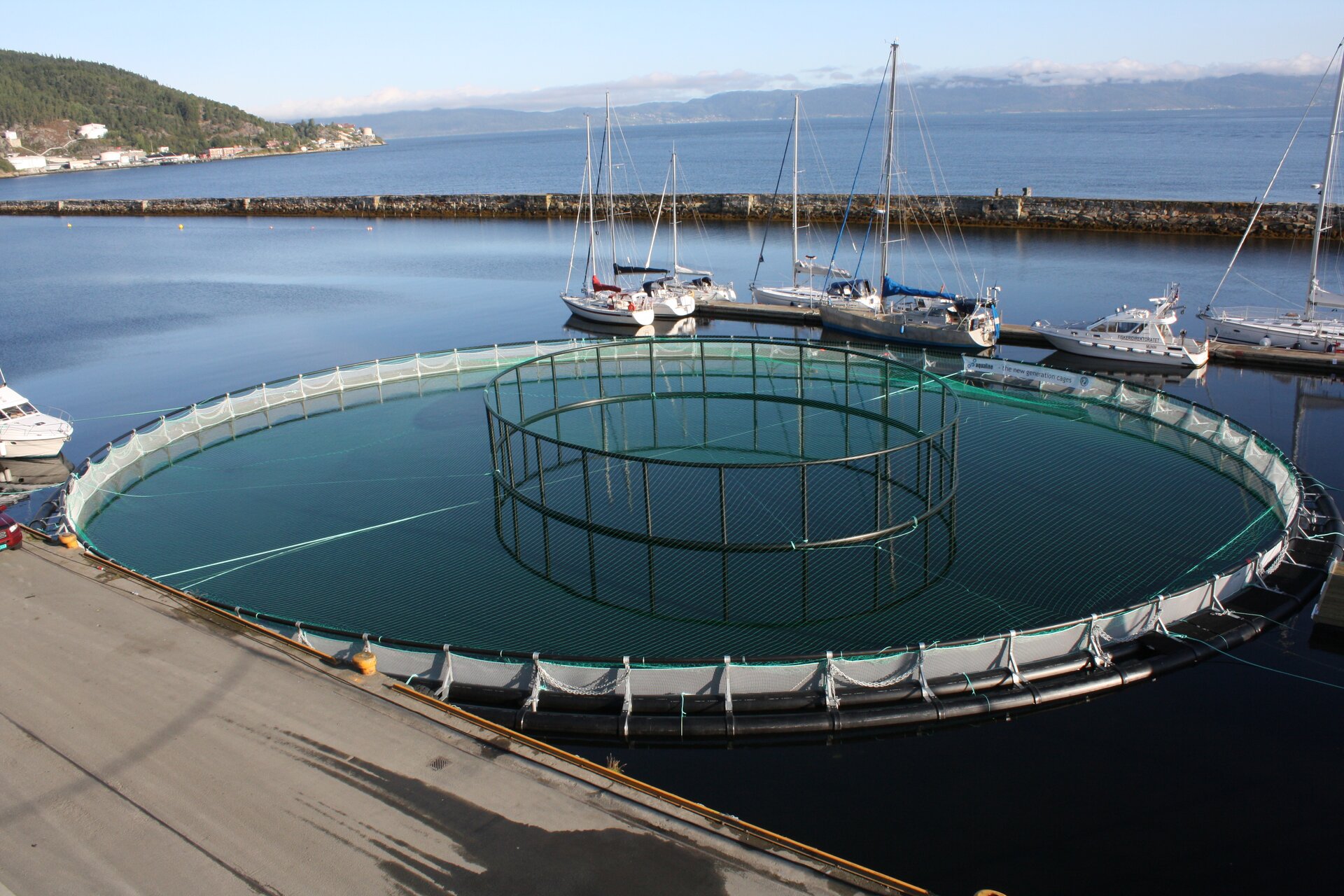 Na zdjęciu w pobliżu pomostu jest okrągły zbiornik zanurzony w wodzie. W pobliżu zbiornika zacumowane są żaglówki. 