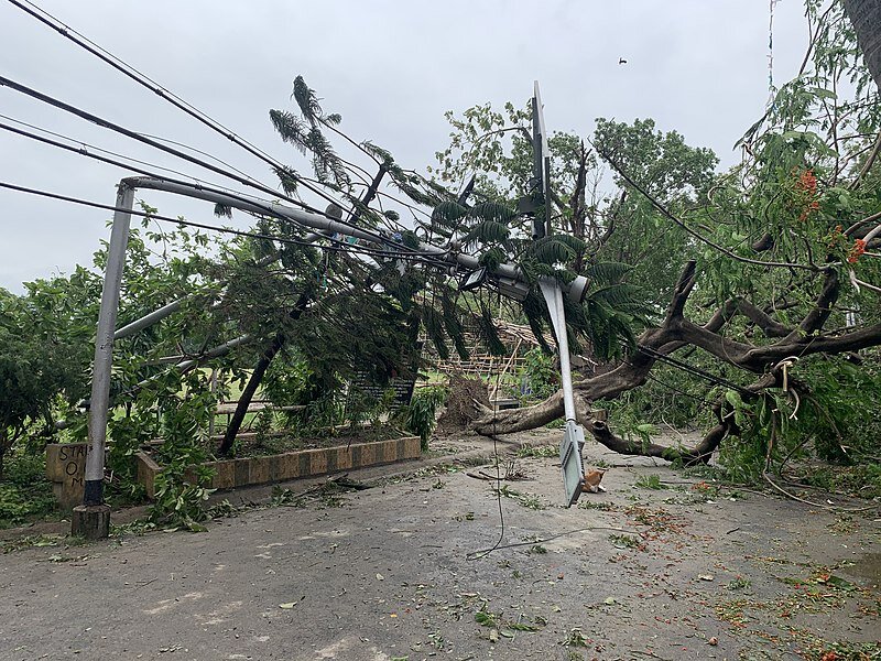Zdjęcie przedstawia skutki przejścia cyklonu Amfan. Na fotografii widać zgiętą latarnię pod kątem prostym przez powalone drzewo, znajdujące się na drugim planie. 