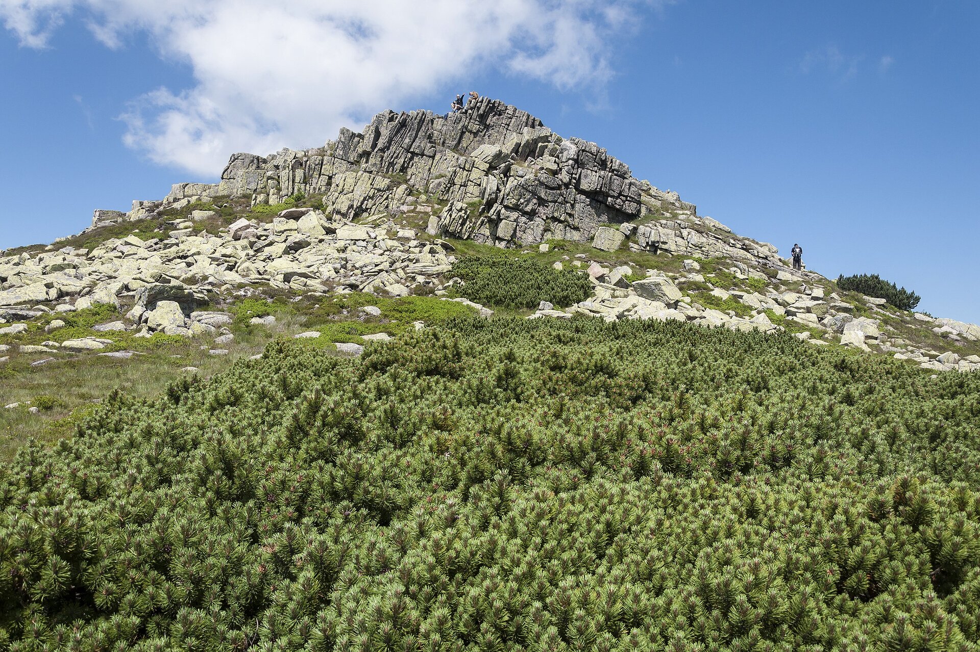 Zdjęcie wykonane u podnóża wzniesienia. U dołu kosodrzewina, wyżej trawa, a u góry masywne ciemnoszare, spękane skały.