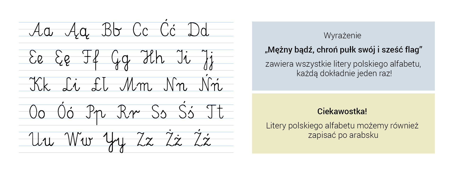 Plansza zawiera ilustrację i tekst informacyjny. Na ilustracji jest zapis alfabetu polskiego na liniach z zeszytu szkolnego. Zapis dużych i małych liter piórem ma imitować dziecięce pismo i szkolną kaligrafię. Na prawo od ilustracji jest tekst: Wyrażenie „Mężny bądź, chroń pułk swój i sześć flag” zawiera wszystkie litery polskiego alfabetu, każdą dokładnie jeden raz! Pod nim znajduje się napis: Ciekawostka! Litery polskiego alfabetu możemy również zapisać po arabsku.