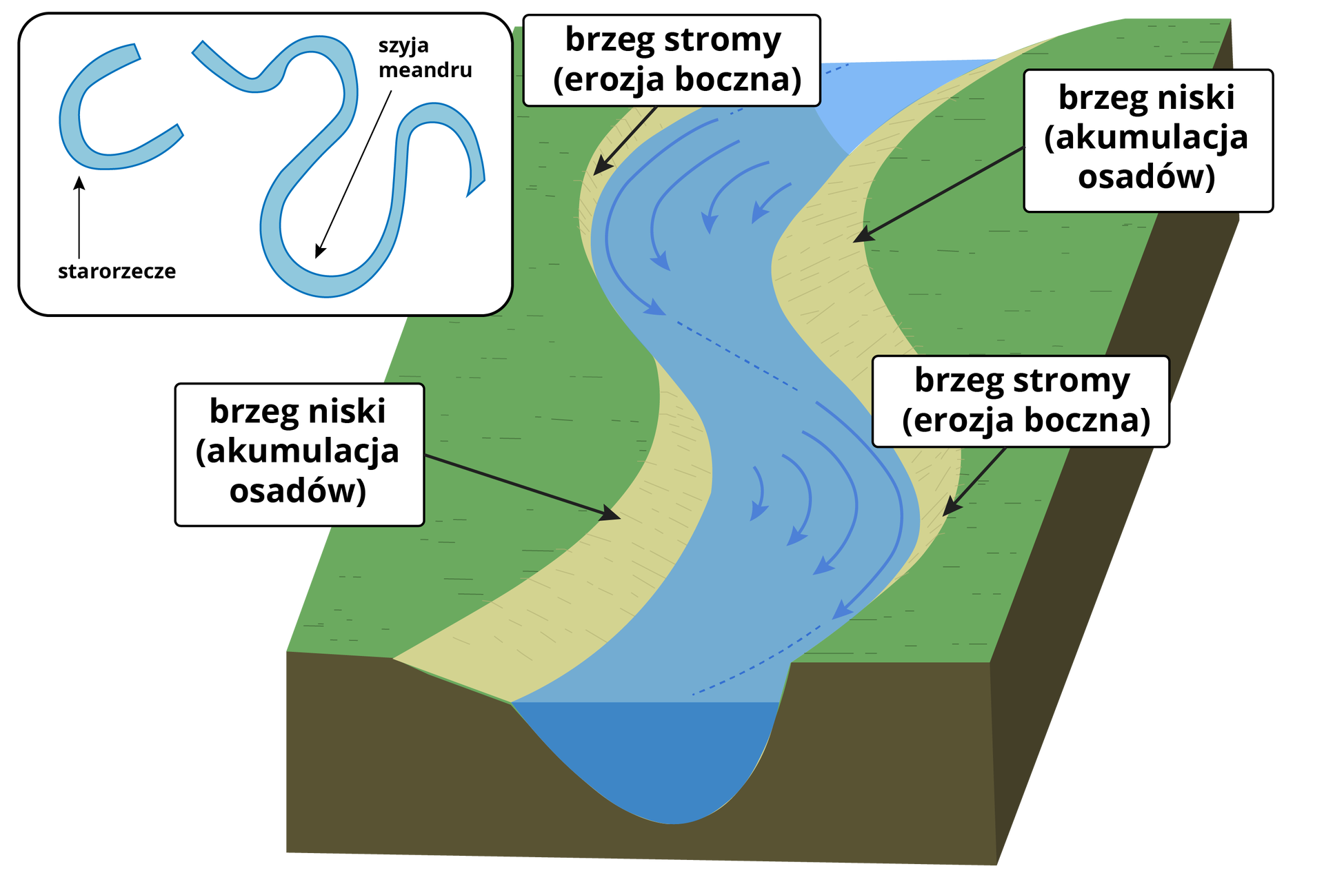  Na schemacie przedstawiona jest działalność akumulacyjna i erozyjna rzeki. Obrazek przedstawia przekrój meandrującego koryta rzeki. W korycie widoczne są strzałki przedstawiające przenoszenie materiałów. Strzałki biegną wzdłuż stromego brzegu, gdzie woda powoduje erozję boczną. Następnie materiał transportowany jest na brzeg niski, gdzie ma miejsce akumulacja osadów. Przez to na rzece tworzą się zakręty, czyli meandry. Zjawisko to dalej się powtarza. Na mniejszym, bocznym obrazku przedstawiony jest schemat rzeki. Zaznaczona jest na nim szyja meandra, czyli zakręt, a obok starorzecze. Jest to pozostałość meandra, który w wyniku akumulacji został odcięty od koryta.