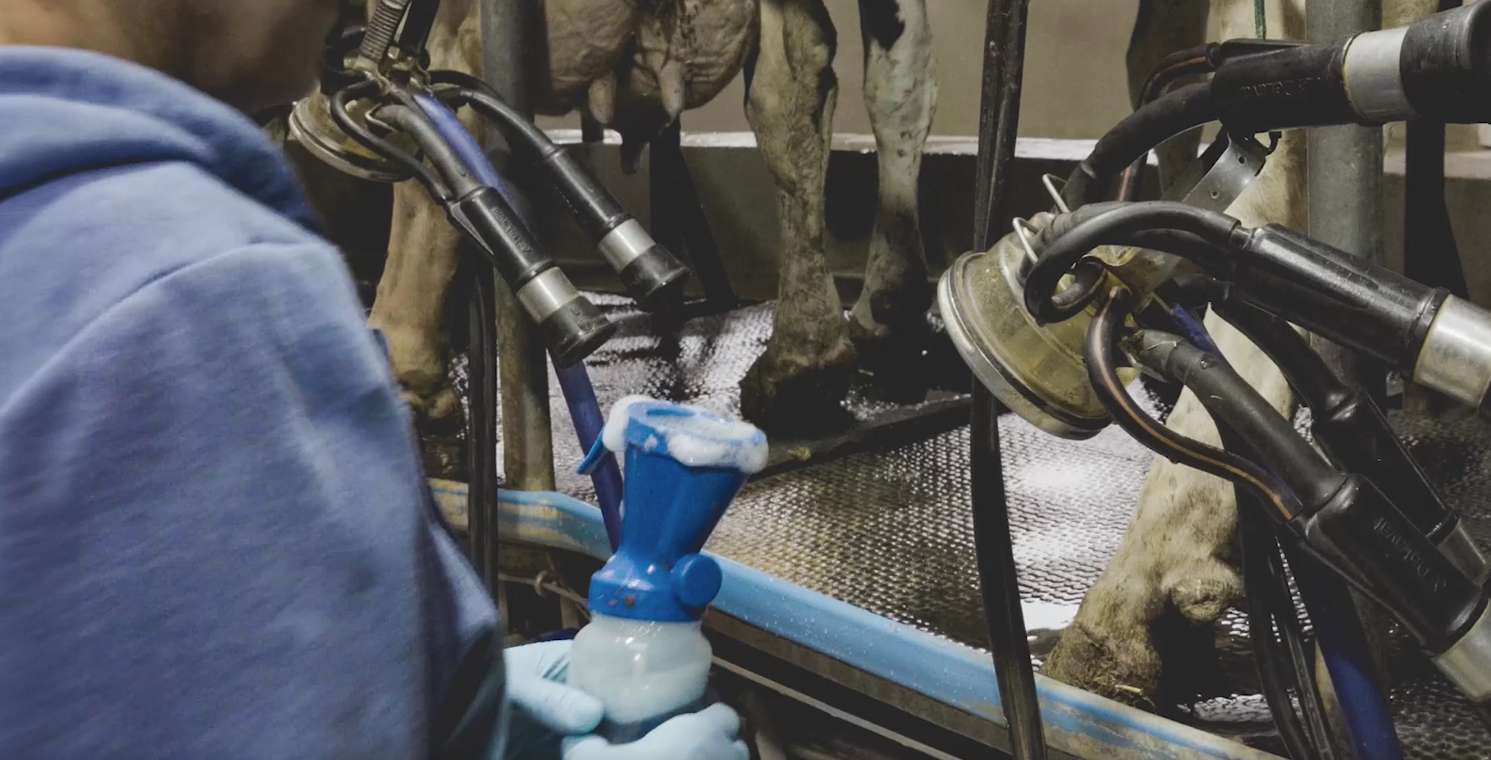 Sprzęt do oczyszczania strzyków