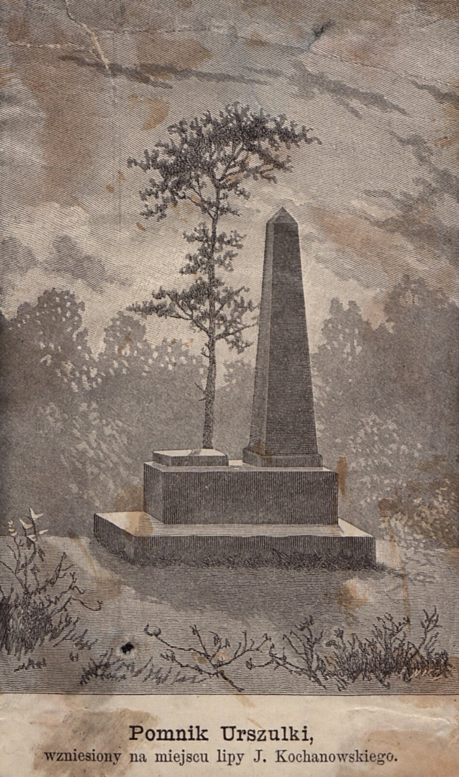 Kliknij, aby powiększyć. Grafika przedstawia obelisk oraz płytę pamiątkową znajdujące się na dwustopniowym cokole. Bezpośrednio za pomnikiem rośnie drzewo. W tle widoczne są drzewa, a u podnóża pomnika rośnie trawa. Grafika jest podniszczona - widoczne pożółkłe plamy, zagniecenia w lewym, górnym rogu oraz dziura u dołu. Pod ilustracją znajduje się napis: Pomnik Urszulki wzniesiony na miejscu lipy J. Kochanowskiego.