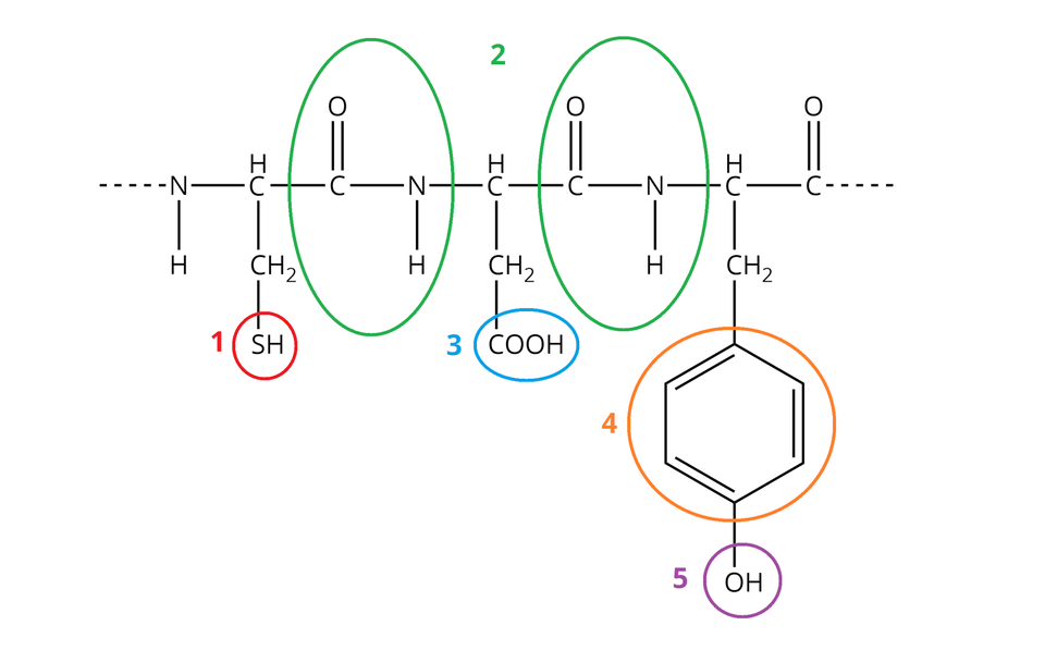 Zadanie alternatywne znajduje się w trybie dostępności.