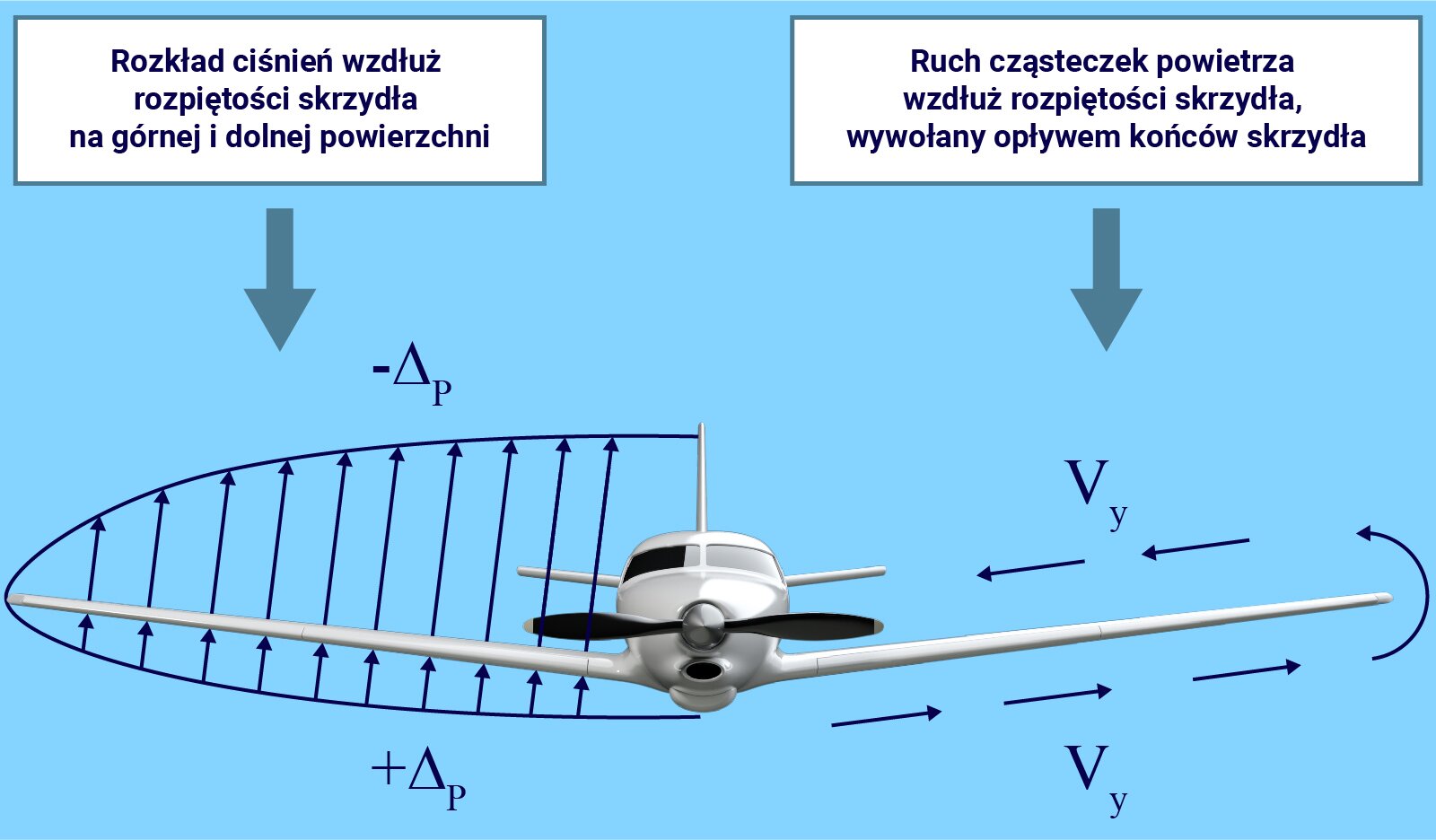 Ilustracja przedstawia lecący samolot w perspektywie frontalnej. Lewe skrzydło obrysowane jest podłużnym łukiem wybrzuszonym w lewo. Narysowano w obrębie łuku strzałki nad i pod skrzydłem. Pod skrzydłem narysowano proste strzałki zaczepione na części łuku pod skrzydłem, a ich groty dotykają dolnej powierzchni skrzydła. Poniżej podpis: plus delta p. Nad skrzydłem narysowano proste strzałki zaczepione na górnej powierzchni skrzydła, skierowane do góry, a ich groty dotykają górnej części łuku. Górne strzałki są dłuższe, niż dolne. Nad górnymi strzałkami dodano podpis minus delta p. Tekst uzupełniający. Rozkład ciśnień wzdłuż rozpiętości skrzydła na górnej i dolnej powierzchni. Prawe skrzydło ma narysowane wokół siebie strzałki biegnące pod skrzydłem w prawo, na końcu skrzydła strzałki zakręcają w lewo w nad skrzydłem biegną w lewo w stronę kadłuba. Nad i pod skrzydłem dodano podpis V y. Tekst uzupełniający. Ruch cząsteczek powietrza wzdłuż rozpiętości skrzydła wywołany opływem końców skrzydła.