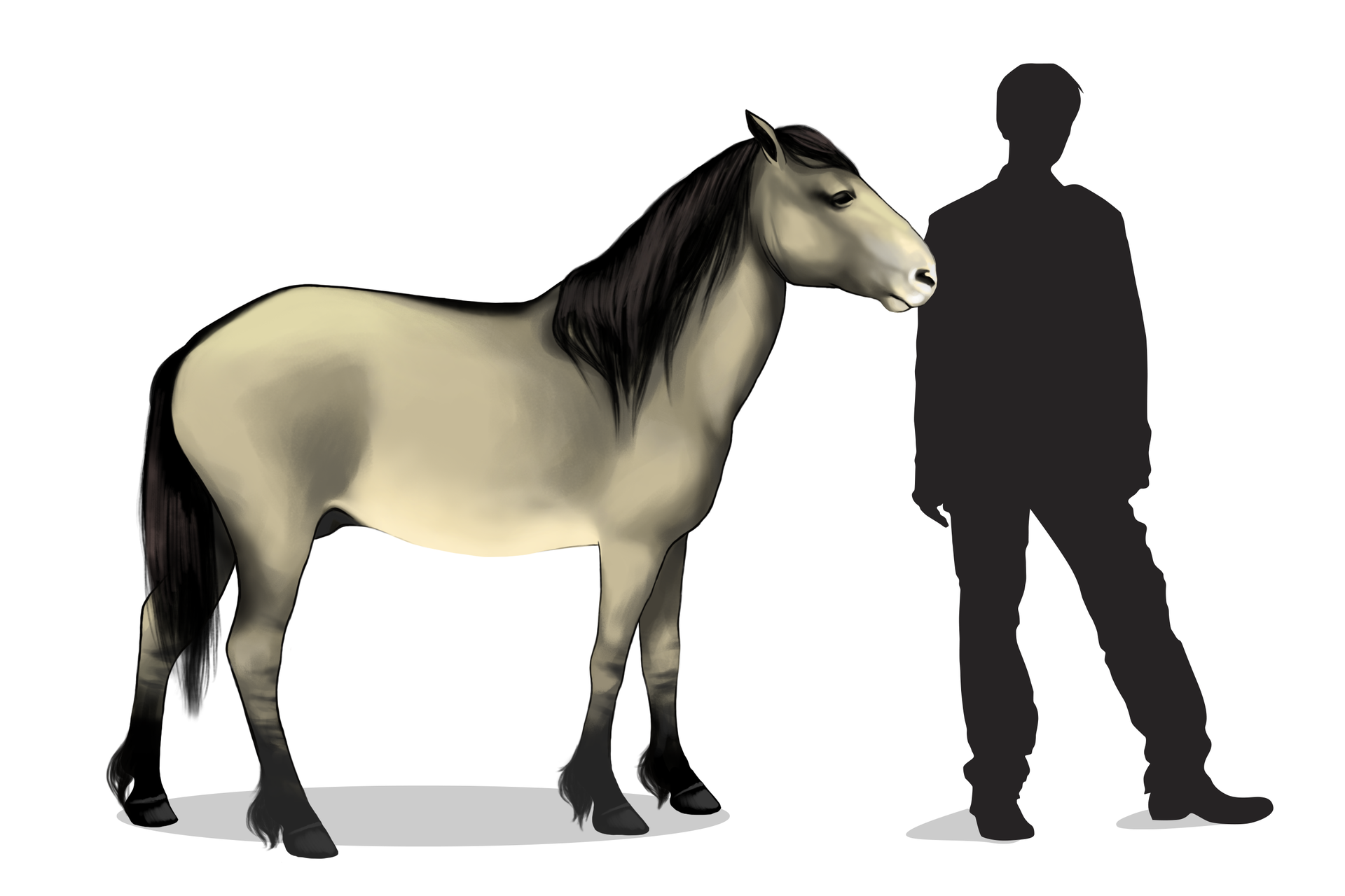 Ilustracja przedstawia sylwetkę beżowego, niskiego konia obok grafitowej sylwetki stojącego człowieka. Tarpan ma czarną grzywę, nogi i ogon.