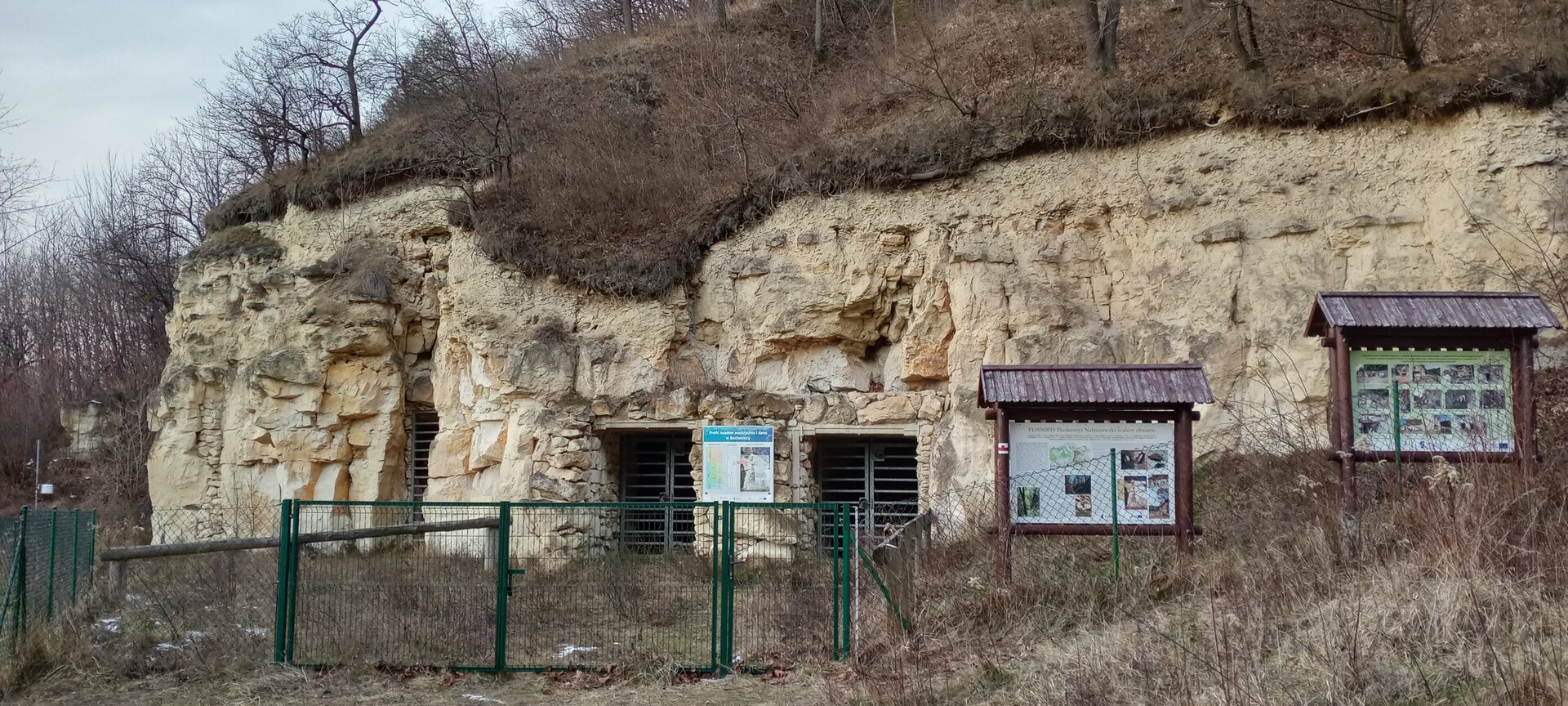 Na zdjęciu kilka wejść do korytarzy wydrążonych w skale. Skała jest koloru białego, u góry porasta ją sucha roślinność. Przed skałą znajduje się zielona brama i ogrodzenie z siatki oraz dwie drewniane tablice informacyjne.