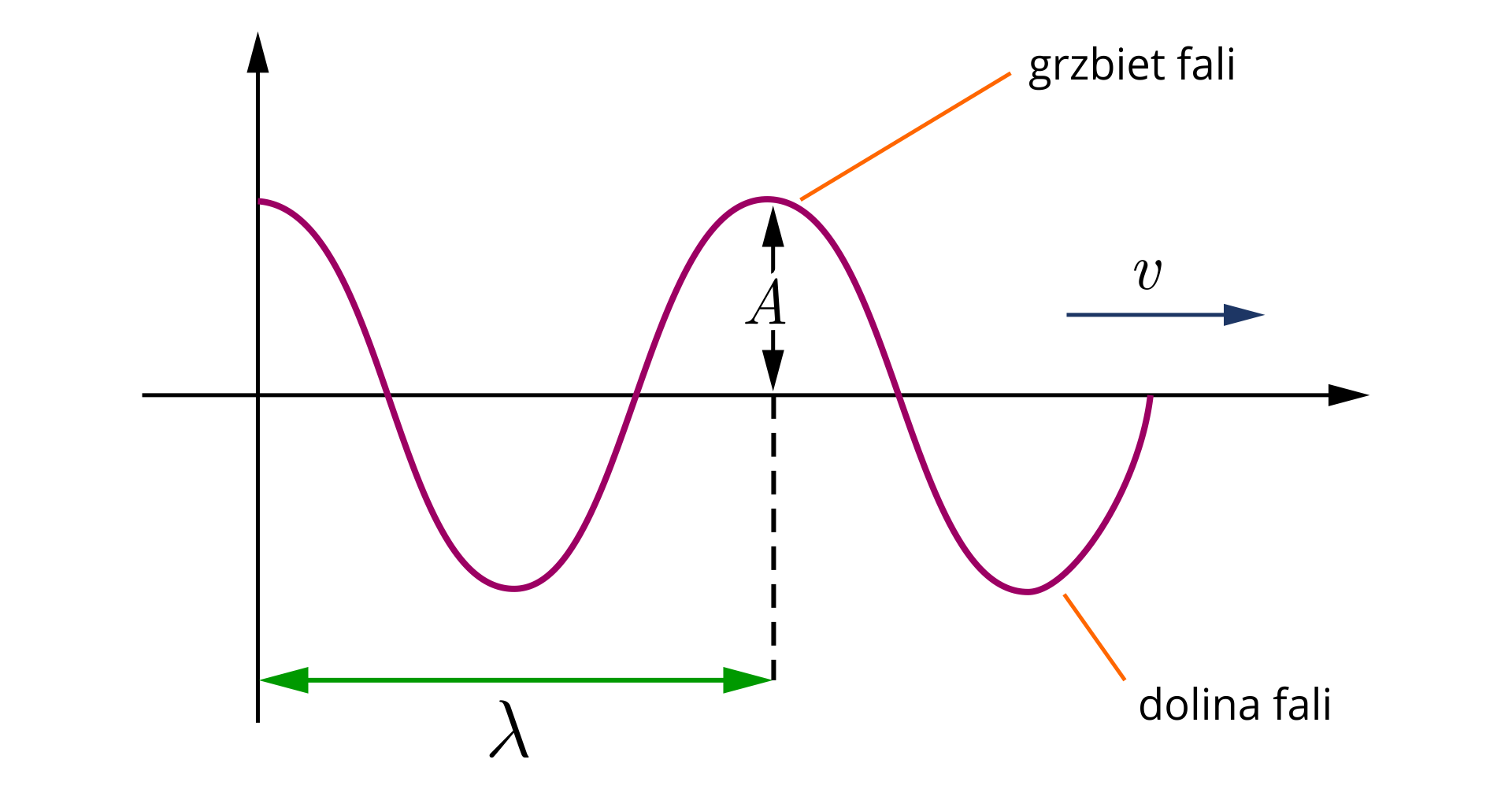 Ilustracja przedstawia układ współrzędnych z narysowaną w pierwszej i czwartej ćwiartce kosinusoidą- linią falistą zaczynającą się w punkcie o najwyższej amplitudzie. Osie nie podpisane. Zaznaczono na niej odległość między najbliższymi grzbietami fali, a więc długość fali jako poziomy czarny odcinek z grotami z podpisem: mała litera lambda. Odległość między osią a grzbietem fali oznaczono jako pionowy odcinek z grotami z podpisem: duża litera A. Nad poziomą osią strzałka skierowana w prawo pozioma z podpisem: mała litera fał. Jeden wierzchołek podpisany: grzbiet fali. Wierzchołek w czwartej ćwiartce podpisany: dolina fali.