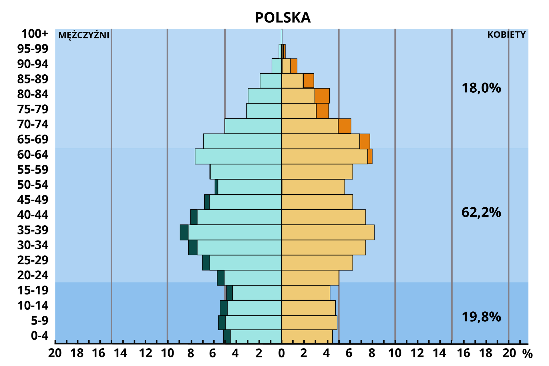 Na ilustracji jest piramida wieku i płci. Dotyczy Polski. Jest stosunkowo wąska na dole, następnie szersza w przedziale wiekowym 35‑39 lat, 40‑44 lata, 60‑64 lata. Od zera do 59. roku życia nieznaczna przewaga mężczyzn nad kobietami, póżniej odwrotnie. Osoby od narodzin do 19 lat stanowią 19,8%. 62,2% to osoby w przedziale wiekowym od 20 do 64 lat. Osoby powyżej 65. roku życia stanowią 18%. 