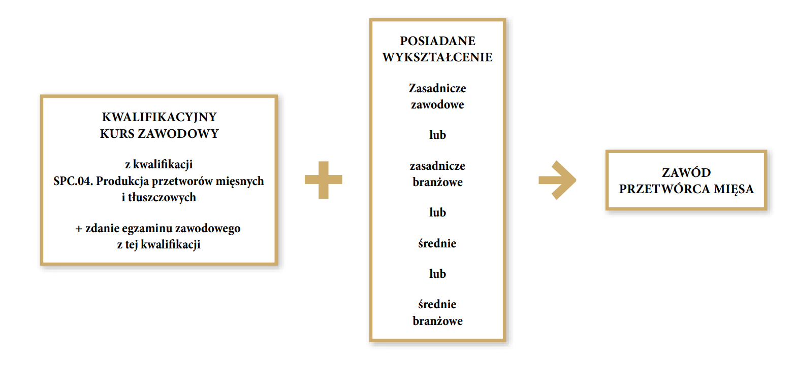 Grafika przedstawia ścieżkę możliwości kształcenia dla młodzieży szkół ponadpodstawowych i dla dorosłych w zawodzie przetwórca mięsa. Pierwszym krokiem do zawodu jest ukończenie kwalifikacyjnego kursu zawodowego z kwalifikacji S P C kropka zero cztery kropka. Produkcja przetworów mięsnych i tłuszczowych i zdanie egzaminu zawodowego z tej kwalifikacji. Drugim krokiem jest posiadanie wykształcenia zasadniczego zawodowego lub zasadniczego branżowego lub średniego lub średniego branżowego.