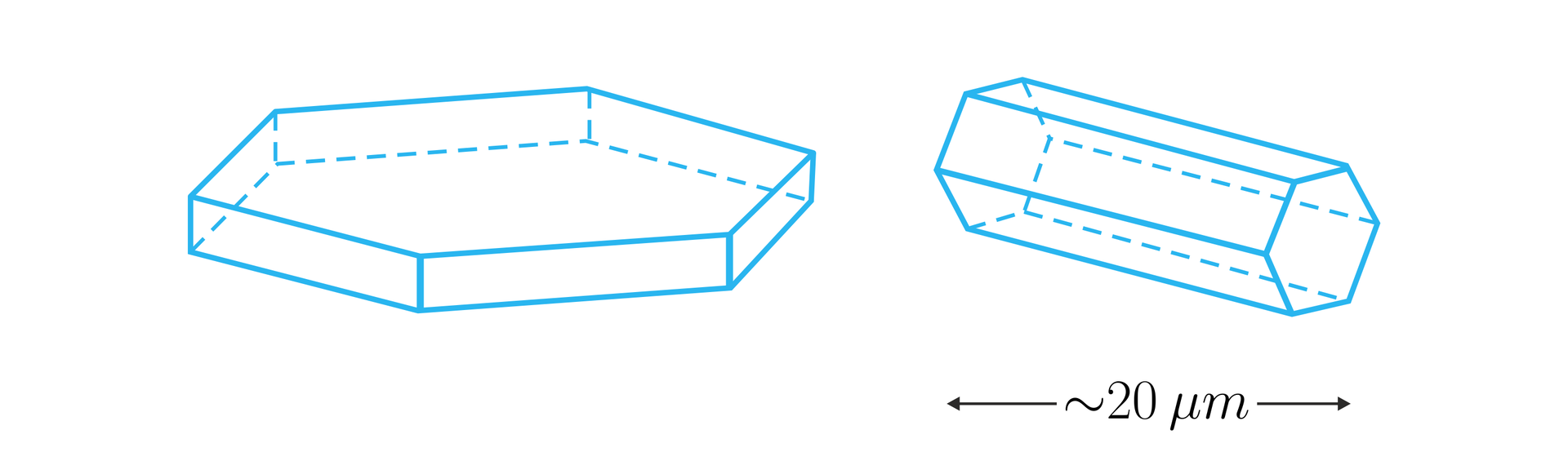 Na ilustracji przedstawiono dwa graniastosłupy prawidłowe sześciokątne. Pierwszy ma niewielką wysokość w stosunku do długości krawędzi podstawy, stąd wyglądem przypomina płaski klocek. Drugi graniastosłup położony jest na jednej ze ścian bocznych. Ma wyraźnie większą wysokość w stosunku do długości krawędzi podstawy i wyglądem przypomina kolumnę. Pod drugim graniastosłupem widnieje zapis około 20 mikrometrów, określający wielkość tego graniastosłupa.
