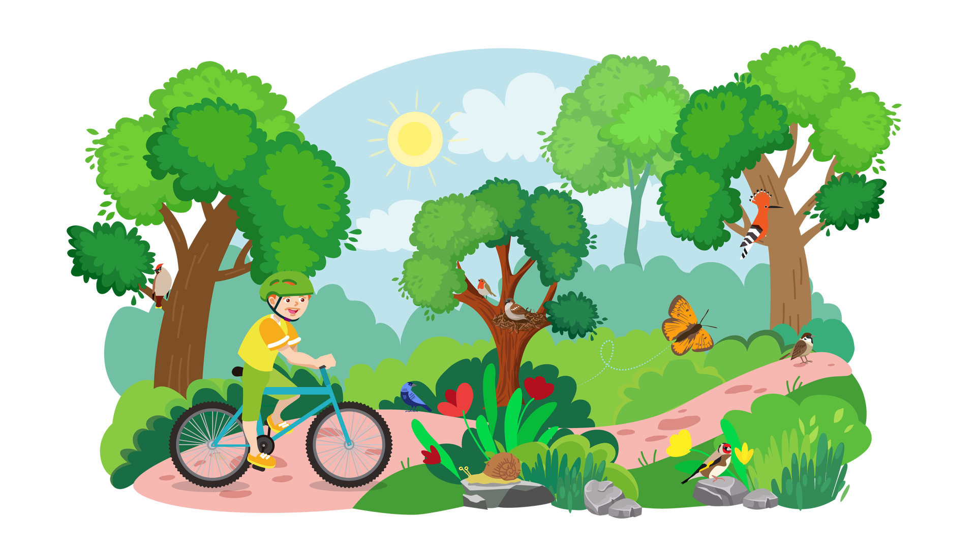 Ilustracja przedstawia pagórkowaty krajobraz. W tle widać błękitne niebo ze słońcem i jasnymi chmurami oraz zarys drzew i krzewów w oddali. Od lewej do prawej strony ilustracji biegnie ścieżka, którą po lewej stronie jedzie niebieskim rowerem uśmiechnięty Franek. Chłopiec ma na głowie zielony kask. Za ścieżką stoją trzy wysokie drzewa liściaste. Na pierwszym drzewie od lewej siedzi ptak z czerwonym czubkiem na głowie, jasnobrązowym upierzeniem na brzuchu oraz brązowym na skrzydłach i grzbiecie. To dziwonia. Dalej, na ścieżce, stoi drugi ptak. Ma upierzenie w kolorze szaroniebieskim. To wrona. Na środku ilustracji znajduje się przy ścieżce drugie drzewo, na którym siedzą dwa ptaki. Jeden z nich jest na gałęzi, ma czerwone upierzenie na szyi, jasnobrązowe na brzuchu i brązowe na grzbiecie i skrzydłach. To rudzik. Drugi ptak jest w gnieździe. Ma jasnobrązowe upierzenie na brzuchu i brązowe na grzbiecie, głowie oraz skrzydłach. To wróbel. Na trzecim drzewie, znajdującym się po prawej stronie ilustracji, siedzi pomarańczowy ptak z czarno‑białymi skrzydłami oraz czubkiem. To dudek. Poniżej stoi na ścieżce kolejny ptak. Ma czarno‑białe upierzenie na szyi, ciemnobrązowe na głowie i skrzydłach oraz jasnobrązowe na grzbiecie i brzuchu. To mazurek. Na pierwszym planie widać wąski pas zieleni. Rosną tam pojedyncze czerwone kwiaty, wysokie trawy i niewielkie krzewy. W kilku miejscach leżą szare kamienie. Po jednym z nich idzie ślimak z brązową muszlą. Na innym siedzi ptak. Ma biały brzuszek, żółto‑czarne skrzydła, czerwone upierzenie na głowie i brązowe na grzbiecie oraz pod skrzydłami. To szczygieł. Powyżej leci w prawą stronę pomarańczowy motyl.