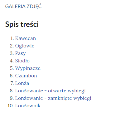 Widok spisu treści. Na górze znajduje się napis: Galeria zdjęć. Pod nim napis: Spis treści. Poniżej widocznych jest dziesięć punktów spisu treści.