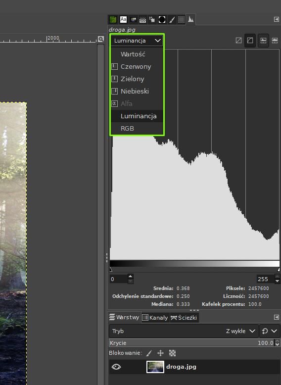 Ilustracja przedstawia okno programu. Po prawej stronie okna znajduje się histogram. Na tle histogramu wyświetla się lista: Luminancja. Pod histogramem jest panel dotyczący Warstw.  