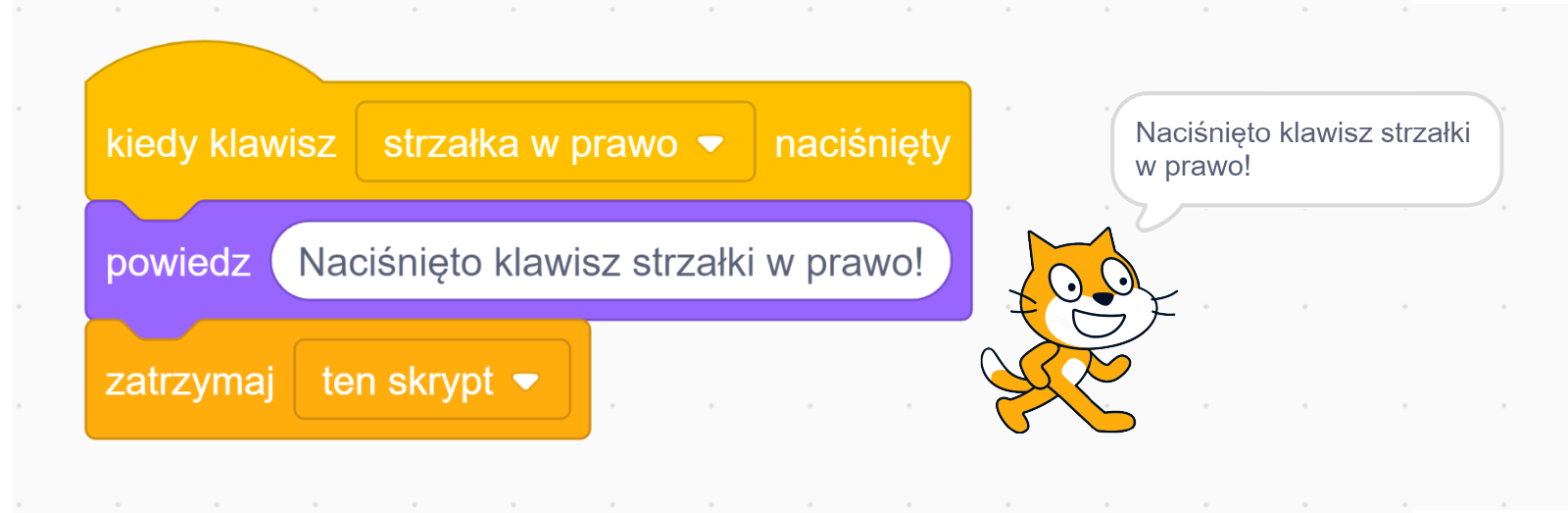 Na ekranie znajduje się skrypt realizujący wyświetlenie napisu po wciśnięciu klawisza strzałki w prawo. Po lewej stronie ekranu, znajduje się blok stworzony z trzech elementów. Na samej górze jest klocek z napisem ‘kiedy klawisz strzałka w prawo naciśnięty’. Poniżej znajduje się element z komendą ‘powiedz’. Obok tekstu w białym polu jest napisane ‘Naciśnięto klawisz strzałki w prawo!’. Na samym dole jest klocek z napisem 'zatrzymaj ten skrypt', który kończy blok.
Po prawej stornie jest animacja kota‑duszka. Nad zwierzęciem widnieje okno dialogowe z napisem ‘Naciśnięto klawisz strzałki w prawo!’.
