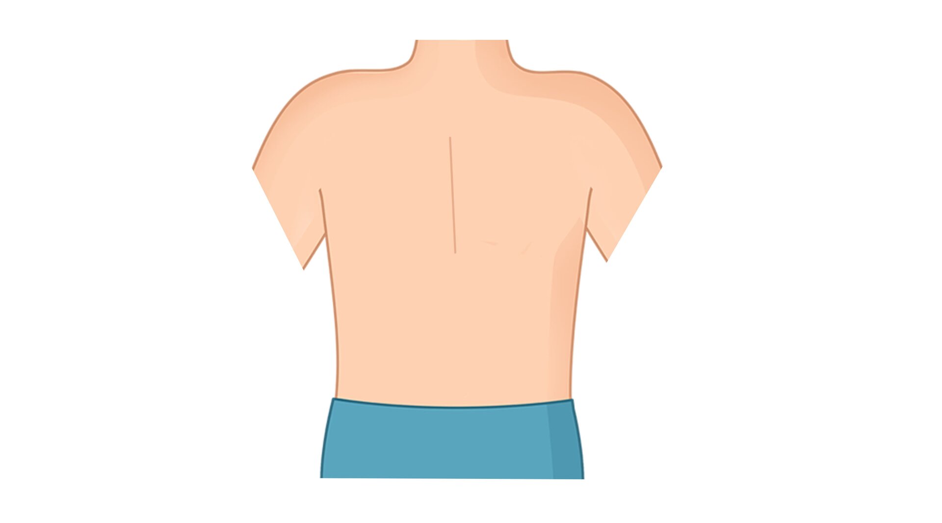 Na ilustracji znajdują się plecy.