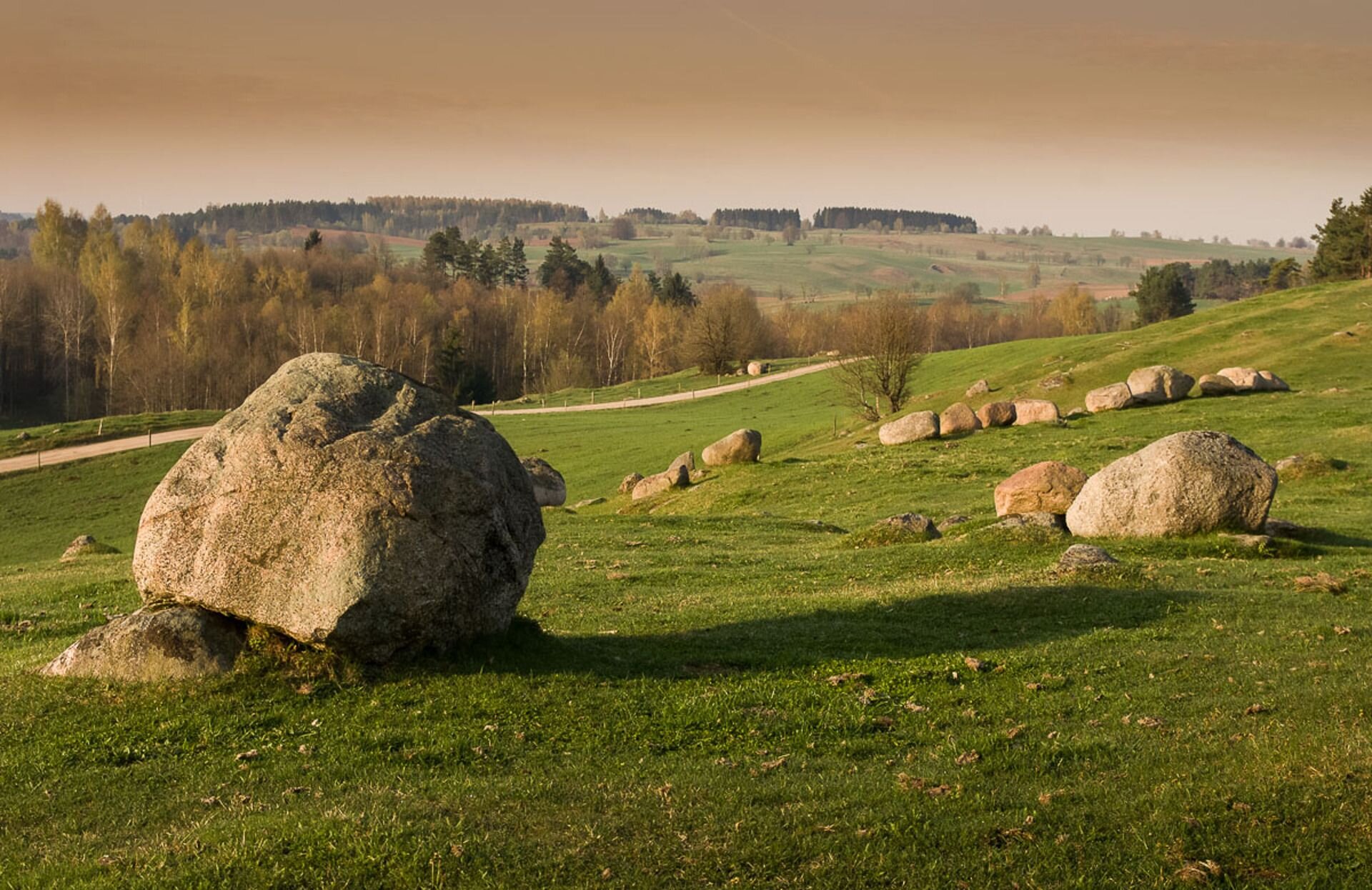 Zdjęcie przedstawia pagórkowaty teren Pojezierza Suwalskiego usłany głazami narzutowymi.