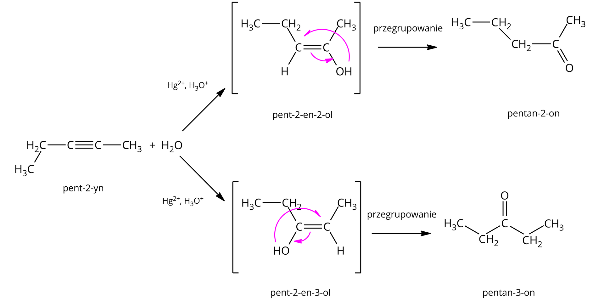 Na ilustracji znajduje się schemat reakcji addycji wody do pent-2-ynu. W reakcji możliwe są dwa produkty ze względu na fakt, że alkin nie jest symetryczny. Pierwszy produkt: grupa etylowa C indeks dolny dwa H indeks dolny pięć wiązanie pojedyncze węgiel wiązanie potrójne węgiel wiązanie pojedyncze grupa metylowa C indeks dolny trzy plus cząsteczka wody, strzałka w prawo Hg indeks górny plus dwa, H indeks dolny trzy O indeks górny plus, dalej zapis przegrupowanie, powstaje pentan-2-on o wzorze grupa propylowa C indeks dolny trzy H indeks dolny siedem wiązanie pojedyncze atom węgla związany z grupą metylową wiązaniem pojedynczym oraz podwójnym z atomem tlenu. Drugi produkt: grupa etylowa C indeks dolny dwa H indeks dolny pięć wiązanie pojedyncze węgiel wiązanie potrójne węgiel wiązanie pojedyncze grupa metylowa C indeks dolny trzy plus cząsteczka wody, strzałka w prawo Hg indeks górny plus dwa, H indeks dolny trzy O indeks górny plus, dalej zapis przegrupowanie, powstaje pentan-3-on o wzorze: grupa etylowa C indeks dolny dwa H indeks dolny pięć wiązanie pojedyncze atom węgla związany z grupą etylową wiązaniem pojedynczym oraz z atomem tlenu przez wiązanie podwójne.