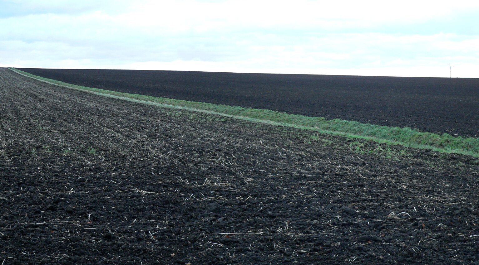 Fotografia kolorowa przedstawia fragment pola pokrytego czarną ziemią, w niektórych miejscach rosną pojedyncze trawy.