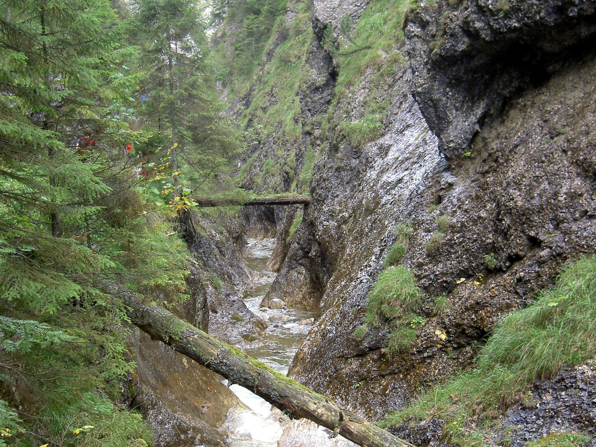 Górski potok. Znajduje się w centralnej części fotografii. Jest wąski, jego nurt jest bardzo wartki. Posiada liczne meandry, mieści się w głębokim wyżłobieniu w skale. Po obu stronach potoku wysokie, skaliste i bardzo strome stoki. Znajdujący się po prawej stronie stok pokryty jest gdzieniegdzie trawą, na stoku po lewej rosną drzewa iglaste.