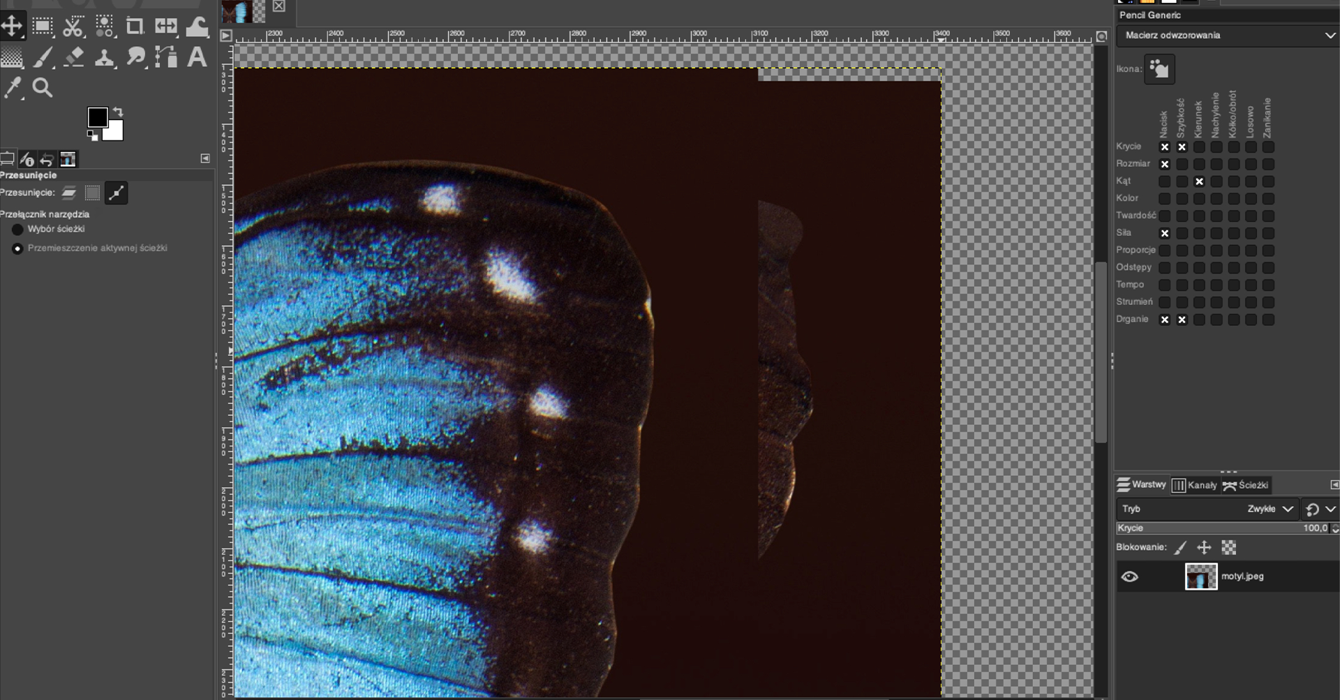 Ilustracja przedstawia okno programu. Panel po lewej stronie dotyczy przesunięcia. W obszarze roboczym jest zbliżenie na fragment skrzydła motyla. Widoczne liczne piksele. Po prawej stronie jest panel dotyczący Pencil Generic, Macierz odwzorowania. Poniżej jest sekcja dotycząca warstw. Tam jedna warstwa: motyl.jpeg.