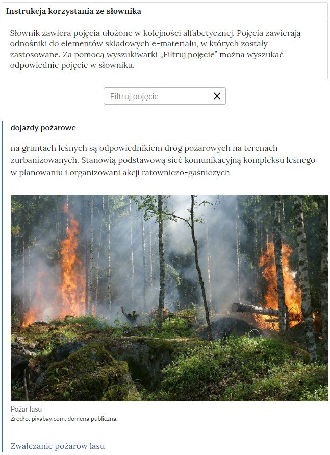 Grafika przedstawia widok na górną część słownika z polem filtrowania haseł słownika. Widoczna jest treść instrukcji korzystania ze słownika: Słowik zawiera pojęcia ułożone w kolejności alfabetycznej. Pojęcia zawierają odnośniki do elementów składowych e‑materiału, w których zostały zastosowane. Za pomocą wyszukiwarki “Filtruj pojęcie” można wyszukać odpowiednie pojęcie w słowniku. Na dole znajduje się kafelek z napisem: Filtruj pojęcia. Poniżej widoczna jest definicja dojazdu pożarowego.