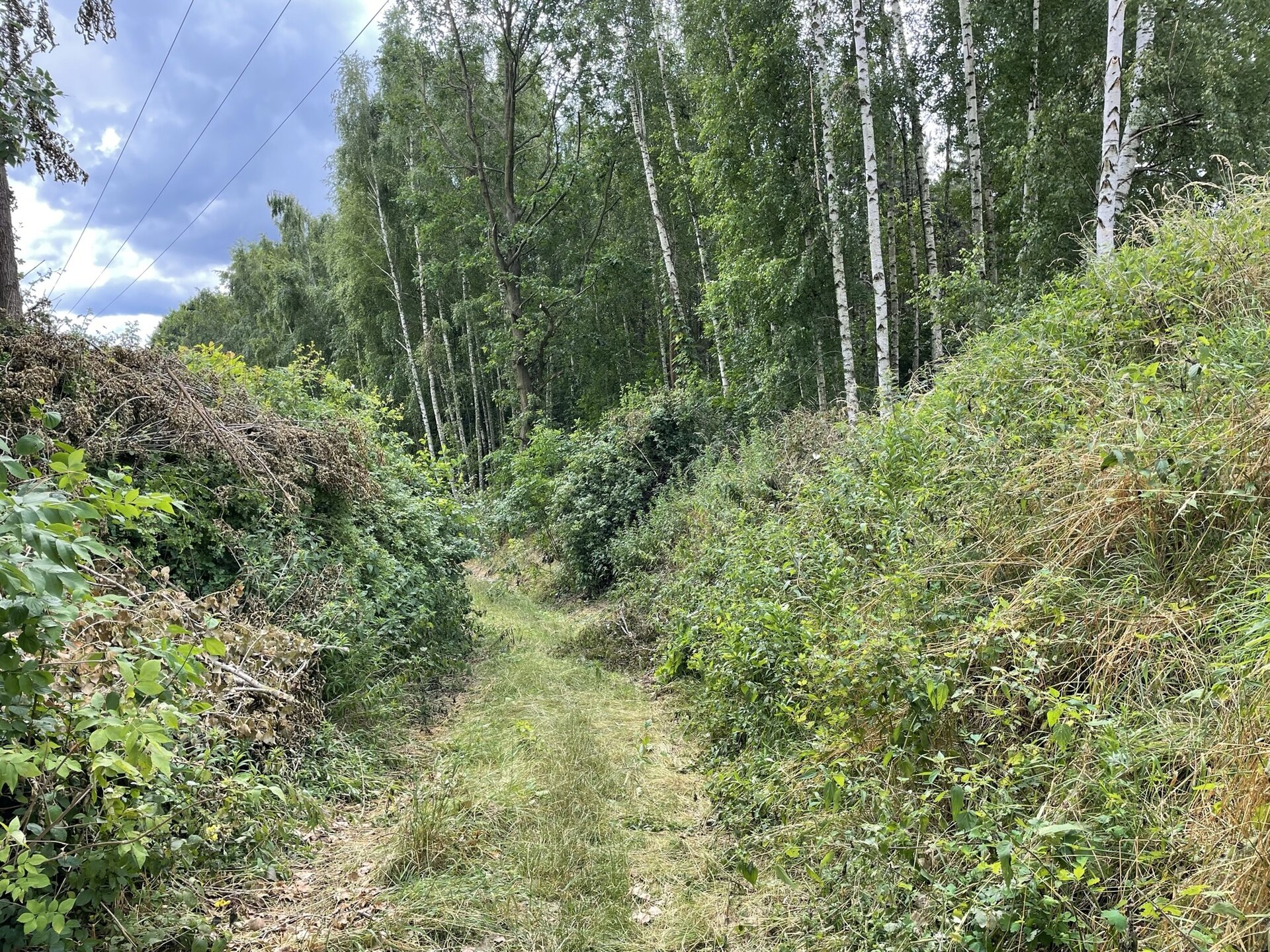 Fotografia przedstawia wąwóz skierowany w lewą stronę, przez który prowadzi leśna droga. Po prawej stronie wąwozu drzewa liściaste. Lewy zarośnięty zaroślami.