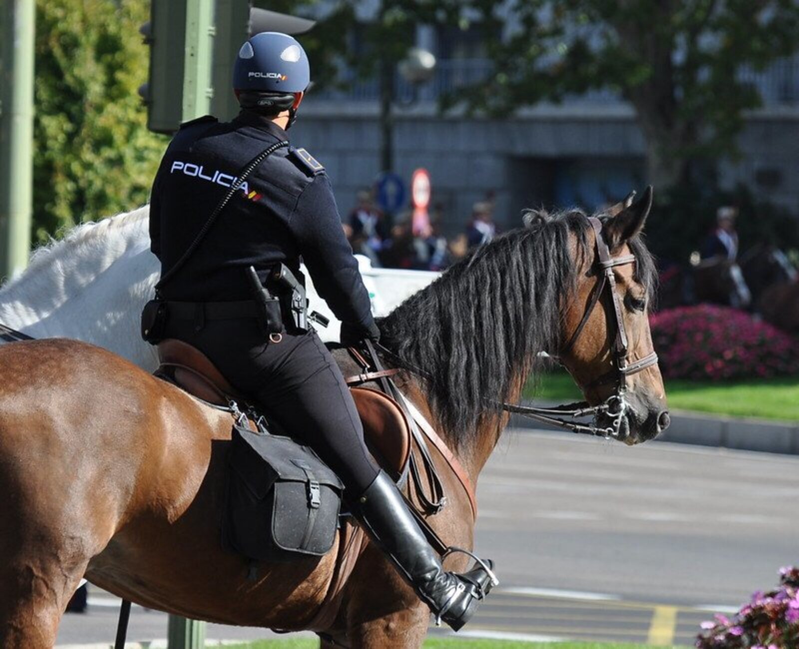Zdjęcie przedstawia policjanta w mundurze i kasku, siedzącego na brązowym koniu. 