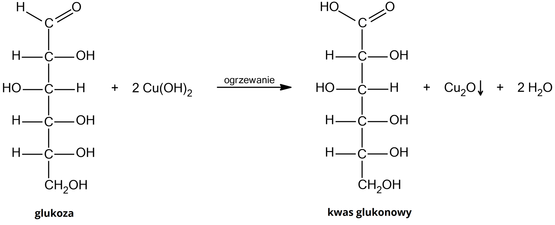 Ilustracja przedstawiająca schemat reakcji zachodzącej podczas próby Trommera dla glukozy. Cząsteczka glukozy o następującym wzorze Fischera: grupa CHO połączona z pionową linią skierowaną do dołu, która symbolizuje łańcuch węglowy i na końcu łączy się z grupą CH2OH. Wspomnianą linię przecinają cztery krótkie poziome, prostopadłe linie. Po prawej stronie linii od góry kolejno podstawniki: OH, H, OH oraz OH. Po lewej stronie od góry podstawniki H, OH, H oraz H. Dodać dwie cząsteczki wodorotlenku miedzi(II). Strzałka w prawo, nad strzałką zapis "ogrzewanie", za strzałką cząsteczka produktu w projekcji Fischera, którą stanowi grupa COOH połączona z pionową linią skierowaną do dołu, która symbolizuje łańcuch węglowy i na końcu łączy się z grupą CH2OH. Wspomnianą linię przecinają cztery krótkie poziome, prostopadłe linie. Po prawej stronie linii od góry kolejno podstawniki: OH, H, OH oraz OH. Po lewej stronie od góry podstawniki H, OH, H oraz H. Dodać cząsteczka tlenku miedzi(I) Cu2O przy niej strzałka w dół oznaczająca wytrącenie osadu. Dodać dwie cząsteczki wody H2O.