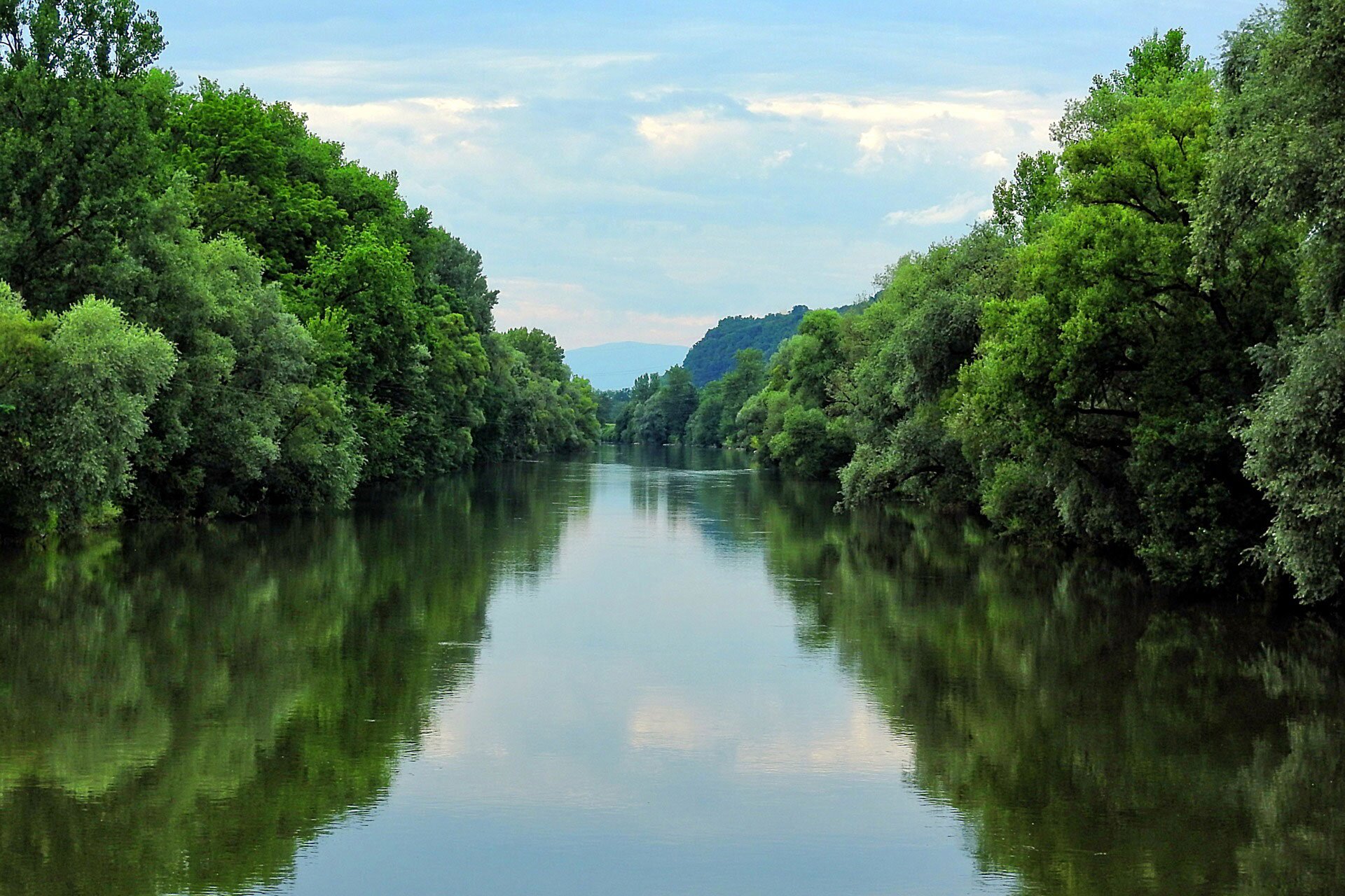 Fotografia prezentuje środkowy bieg rzeki. Koryto rzeki jest szerokie, lustro wody gładkie. Na obu brzegach rzeki rosną drzewa.