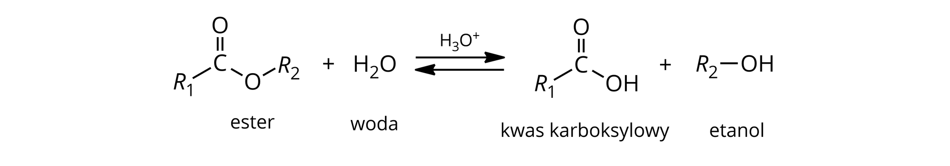 Ilustracja przedstawiająca schemat reakcji hydrolizy kwasowej estru. Cząsteczka estru zbudowana z grupy R1 związanej z atomem węgla połączonym za pomocą wiązania podwójnego z atomem tlenu i za pomocą wiązania pojedynczego z drugim atomem tlenu podstawionym grupą R2. Dodać cząsteczka wody. Strzałki równowagowe, nad strzałkami kation H3O+. Za strzałkami cząsteczka kwasu karboksylowego zbudowanego z grupy R1 związanej z atomem węgla połączonym za pomocą wiązania podwójnego z atomem tlenu oraz za pomocą wiązania pojedynczego z grupą hydroksylową OH. Dodać cząsteczka alkoholu zbudowana z podstawnika R2 połączonego z grupą hydroksylową OH.
