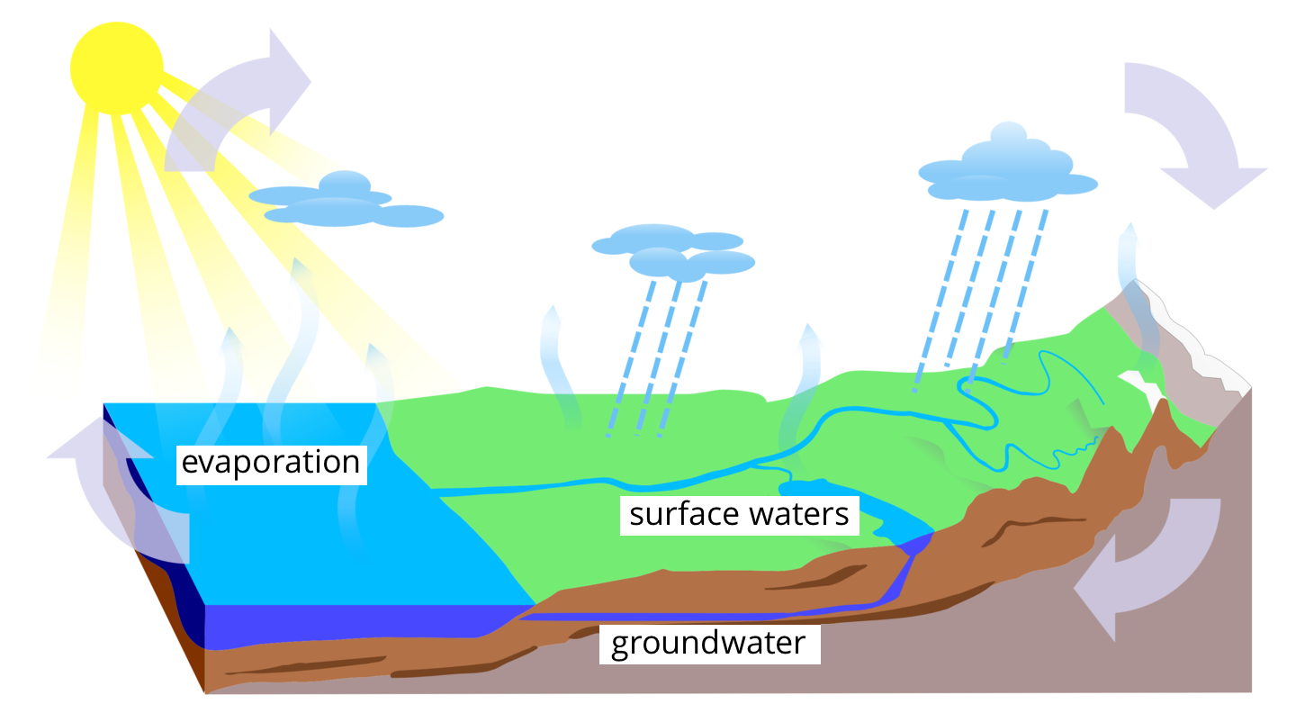 Grafika przedstawia krążenie wody w przyrodzie. na dolnej części grafiki ukazano fragment przekroju powierzchni ziemi i fragment zbiornika wodnego. Kolorem popielatym oznaczono pierwszą fazę powierzchni ziemi na prawo ze strzałką w lewo, na niej brązowym kolorem glebę w zaznaczonymi na niebiesko wodami podziemnymi wypływającymi ze zbiornika, gleba okryta jest zieloną nawierzchnią i odprowadzonymi od zbiornika wodnego rozgałęzionymi strumykami, podpisanymi wody powierzchniowe. Od zbiornika wodnego odprowadzona jest w górę strzałka. Umieszczono też napis: parowanie. Efekt ten zobrazowano błękitnymi strzałkami ku górze na całej powierzchni powierzchni ziemi.  W górnej części grafiki zobrazowane są chmury z padającym deszczem i słońce. W lewym górnym rogu obok słońca umieszczona jest strzałka w prawo natomiast w prawym górnym rogu strzałka w dół. Na obrazku są nazwy: evaporation, surface waters, groundwater