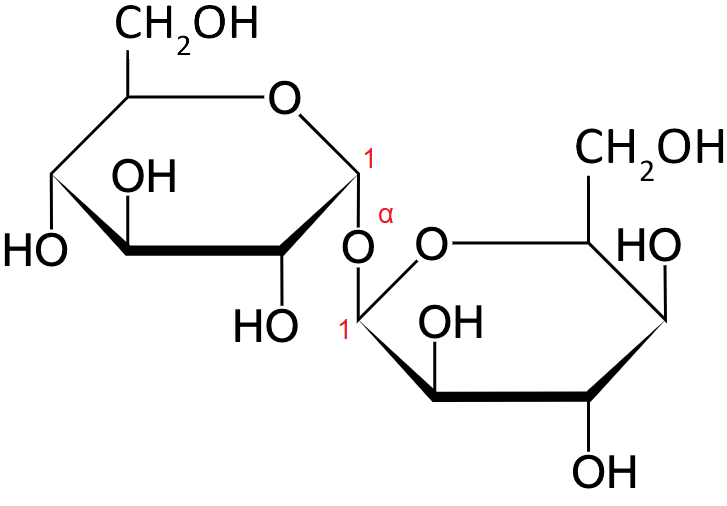 Grafika przedstawia cząsteczkę. Trehaloza - zbudowana z dwóch cząsteczek α‑D-glukozy połączonych wiązaniem α‑1,1‑glikozydowym, które powstaje w wyniku połączenia przez atom tlenu węgla w pozycji 1 jednej cząsteczki α‑D-glukozy z węglem w pozycji 1 drugiej cząsteczki α‑D-glukozy. Dwucukier zbudowany jest z dwóch cząsteczek D-glukozy, które łączy wiązanie α-1,1-O-glikozydowe. Strukturę stanowi sześcioczłonowy pierścień glukozy, w którym pierwszy lokant stanowi atom węgla C1 związany z atomem tlenu wbudowanym w tenże pierścień. Węgiel C5 zamyka pierścień i łączy się ze wspomnianym atomem tlenu oraz węglem C6, niewbudowanym w pierścień. Od węgla C1 odchodzi w dół wiązanie łączące go z atomem tlenu, który to łączy się z węglem C1 drugiego pierścienia D-glukozy. Od węgli C2 oraz C4 odchodzą do dołu grupy hydroksylowe O H, zaś do góry od grupy C3, grupa hydroksylowa odchodzi również od węgla C6. Drugi pierścień stanowi również cząsteczka D-glukozy, którą stanowi sześcioczłonowy pierścień, który tworzą atomy węgla C1, C2, C3, C4 oraz C5, a także atom tlenu połączony z węglami o lokancie pierwszym i piątym. Od węgla C1 odchodzi do góry wiązanie łączące go atomem tlenu wiążącym oba pierścienie. Jest on również związany z atomem tlenu wbudowanym w drugi pierścień. Od atomów węgla C2 oraz C4 odchodzą do góry grupy hydroksylowe, od węgla C3 grupa hydroksylowa odchodzi do dołu. Od węgla C5 do góry odchodzi grupa CH2OH.