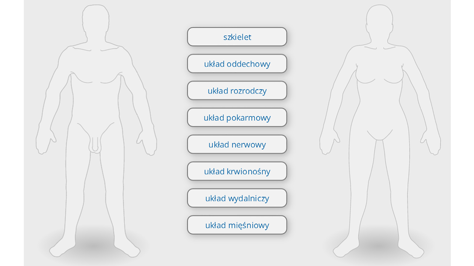 Ilustracja przedstawia budowę ciała człowieka. Widoczne są dwa kontury ciała, kobiety i mężczyzny, obok nich znajdują się tabliczki z nazwami układów. Klikając na nie, można ujrzeć umiejscowienie szkieletu, układu oddechowego, układu rozrodczego, układu pokarmowego, układu nerwowego, układu krwionośnego, układu wydalniczego oraz układu mięśniowego. Po kliknięciu na przycisk z napisem szkielet w sylwetkach człowieka pojawia się układ kostny. Widoczne są kości czaszki, kończyn, klatki piersiowej, kręgosłup i miednica. Po kliknięciu na układ oddechowy pojawiają się płuca, tchawica, krtań, jama ustna i nos. Po kliknięciu na układ rozrodczy na lewej sylwetce pojawia się układ męski rozrodczy. Widać jądra, najądrza, nasieniowody, prostatę i cewkę moczową. Na prawej sylwetce widać układ żeński rozrodczy. Widać jajniki, jajowody, macicę, pochwę. Po kliknięciu na układ pokarmowy pojawia się jama ustna, gardło, przełyk, żołądek, wątroba, trzustka, jelito cienkie i jelito grube. Po kliknięciu na układ nerwowy ukazuje się mózg i kręgosłup. Odchodzą od nich liczne linie, które docierają do każdego zakątka ciała. Linie symbolizują nerwy. Po kliknięciu na układ krwionośny pojawia się serce oraz czerwone i niebieskie linie. Czerwone symbolizują tętnice, a niebieskie żyły. Linie prowadzą od serca do głowy i kończyn. Po kliknięciu na układ wydalniczy pojawiają się dwie nerki, leżące na nich nadnercza. Od nerek w dół odchodzą moczowody. Prowadzą do pęcherza moczowego. Od pęcherza na zewnątrz organizmu prowadzi cewka moczowa. U mężczyzny cewka jest dłuższa niż u kobiety. Po kliknięciu na układ mięśniowy pojawiają się mięśnie. Znajdują się one w całym organizmie.
