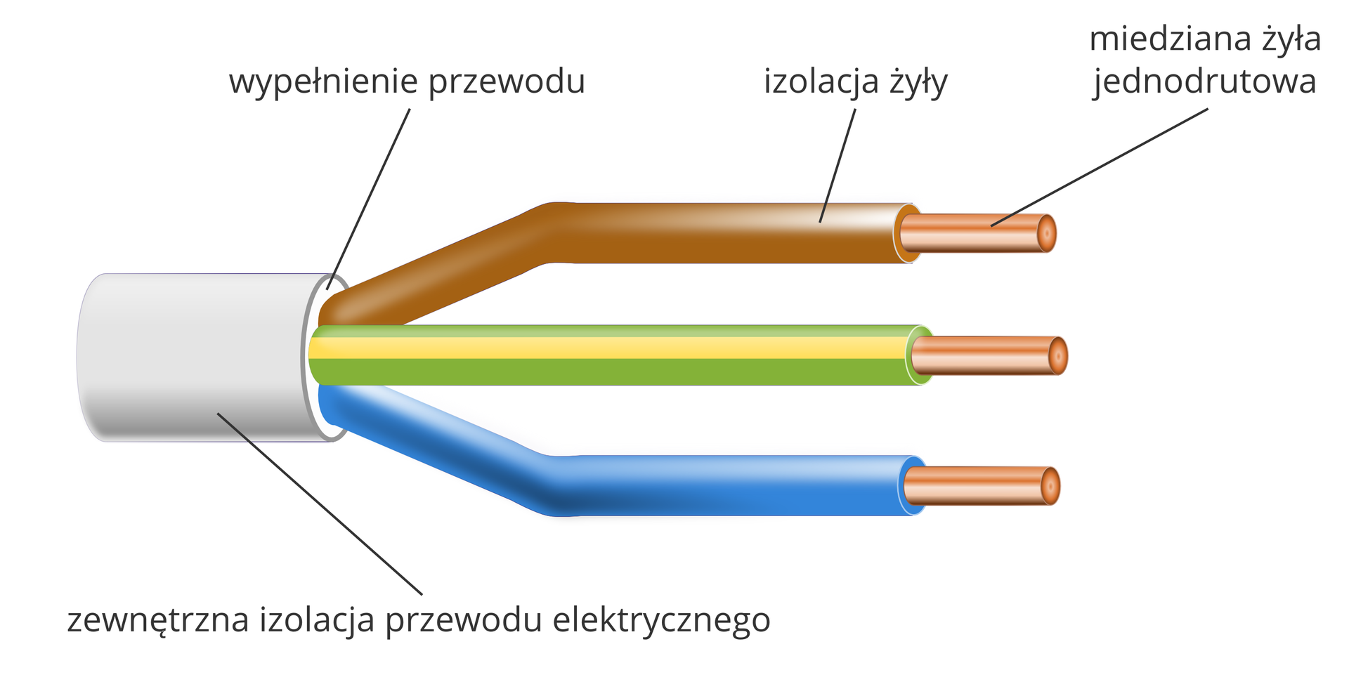 Ilustracja przedstawia przekrój przewodu domowej instalacji elektrycznej. Składa się on z trzech przewodów, żył, w izolacji w kolorach: brązowym, niebieskim i żółto‑zielonym. Zaznaczona jest zewnętrzna izolacja przewodu elektrycznego, wypełnienie przewodu, izolacja żyły oraz miedziana żyła jednodrutowa.
